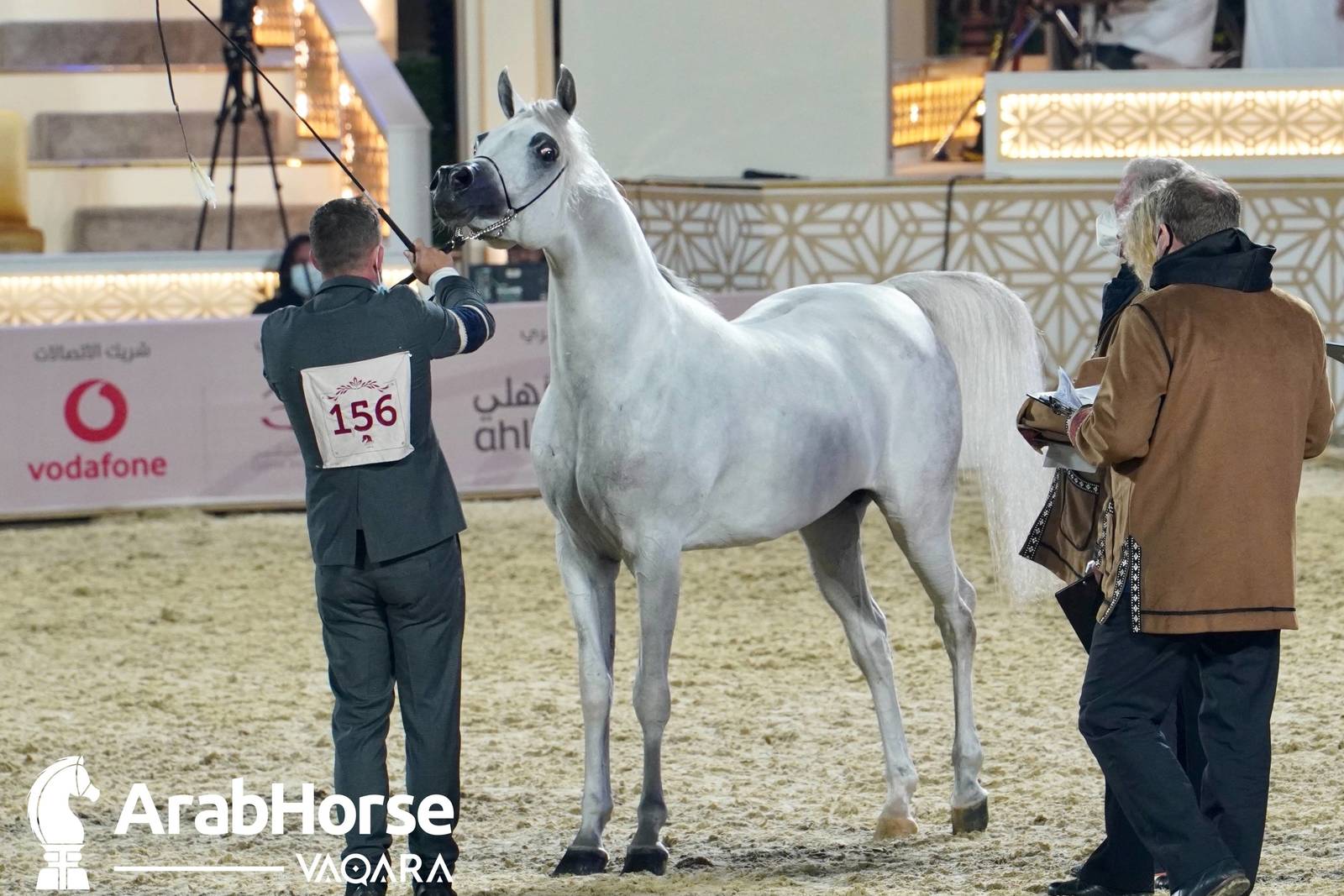 Excitement Continues Unabated During the Katara International Arabian Horse Festival