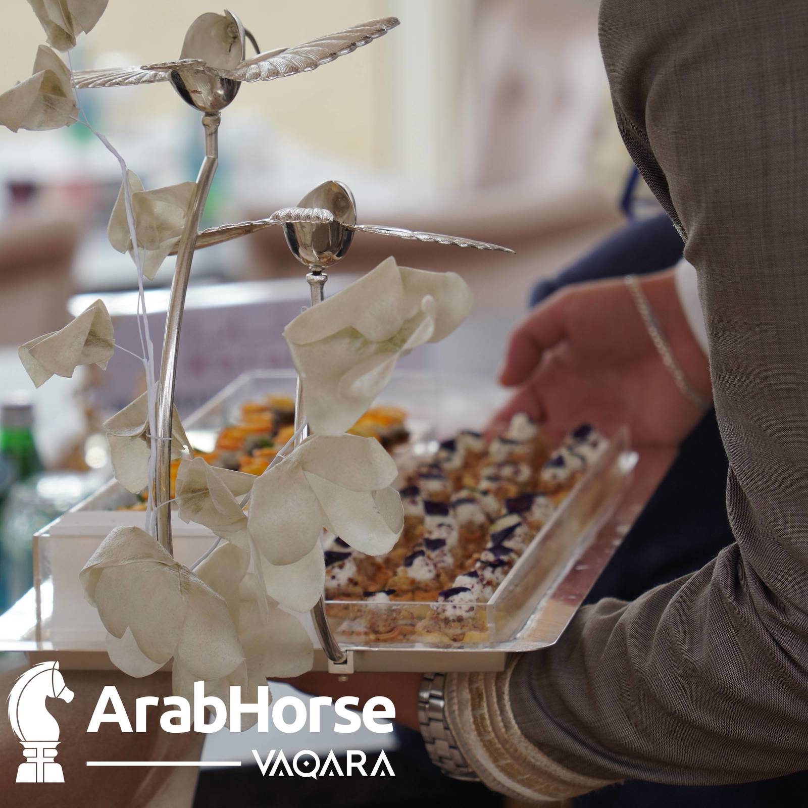 Qualifying Rounds of Katara International Arabian Horse Festival Conclude Successfully