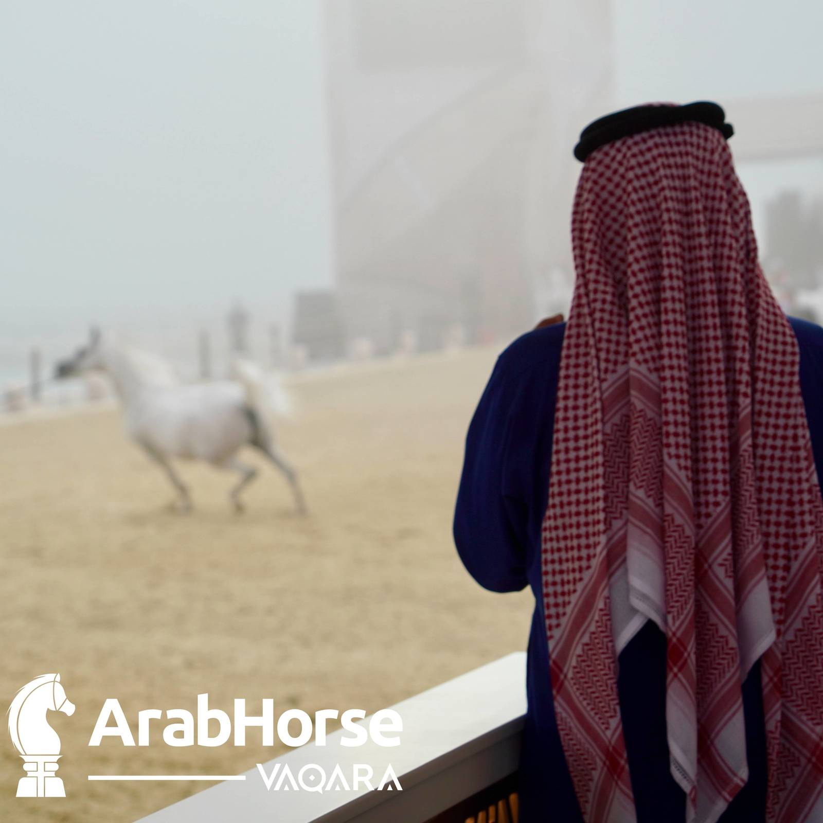 Qualifying Rounds of Katara International Arabian Horse Festival Conclude Successfully