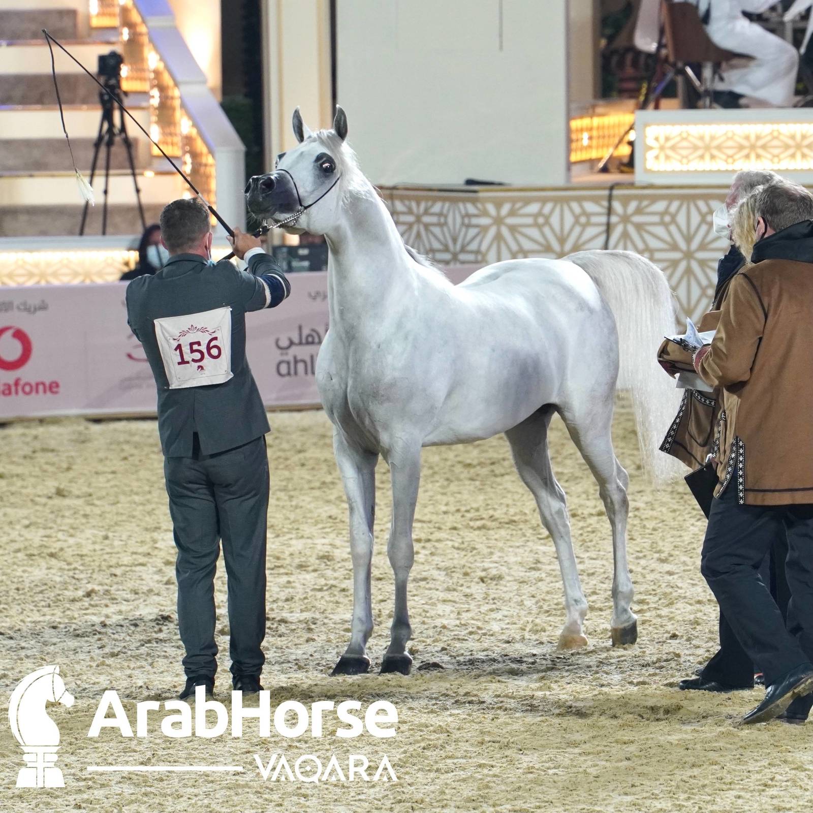 Qualifying Rounds of Katara International Arabian Horse Festival Conclude Successfully