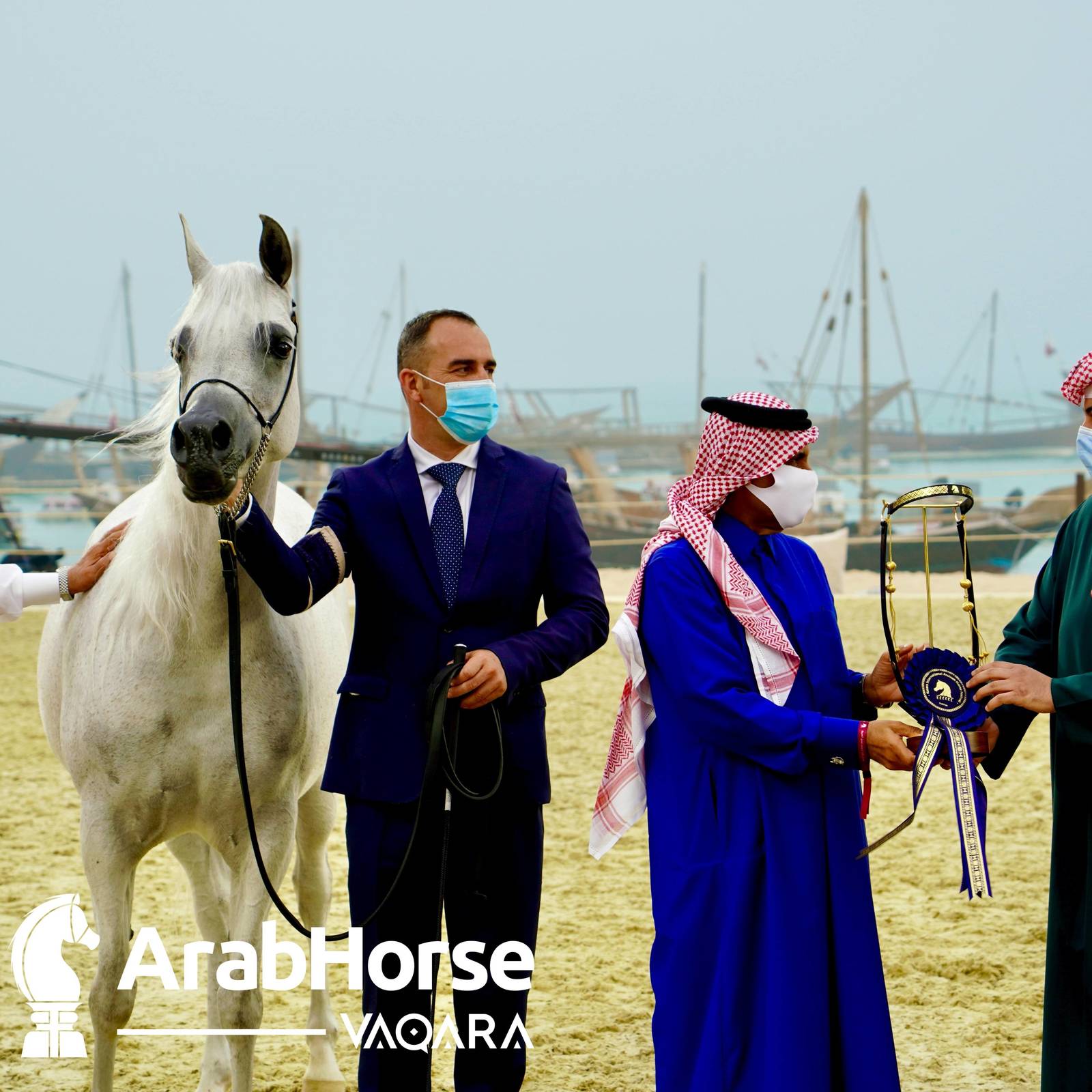 Qualifying Rounds of Katara International Arabian Horse Festival Conclude Successfully