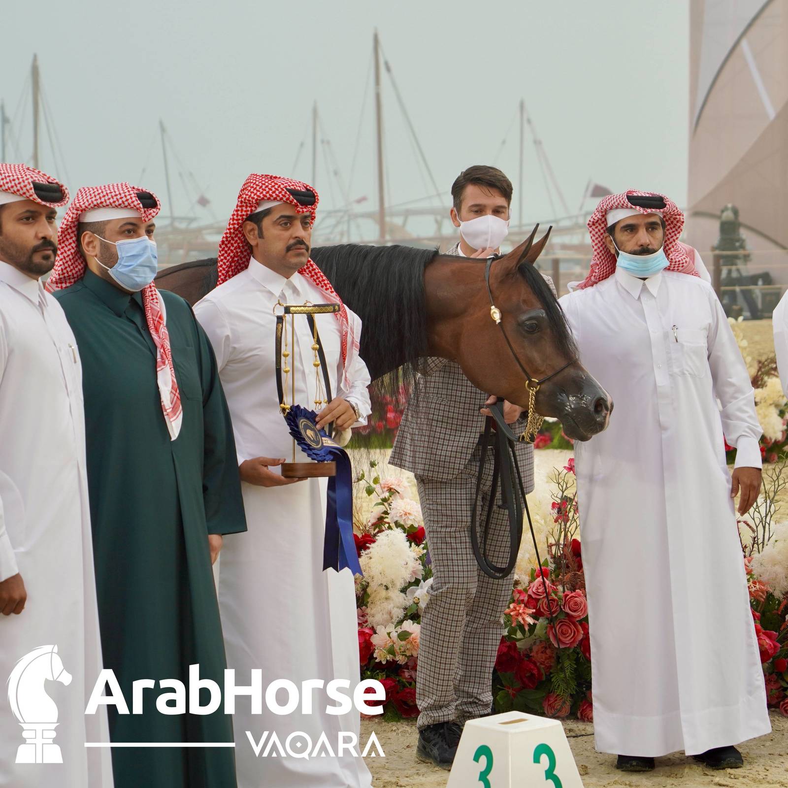 Qualifying Rounds of Katara International Arabian Horse Festival Conclude Successfully