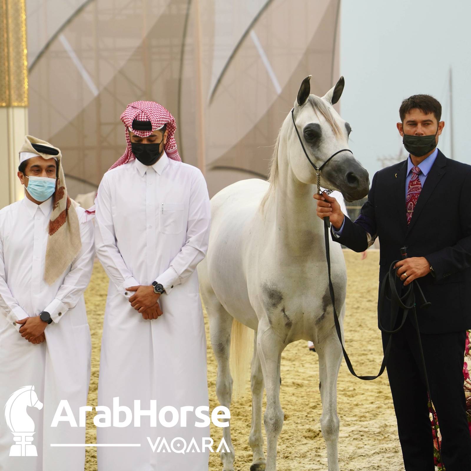 Qualifying Rounds of Katara International Arabian Horse Festival Conclude Successfully