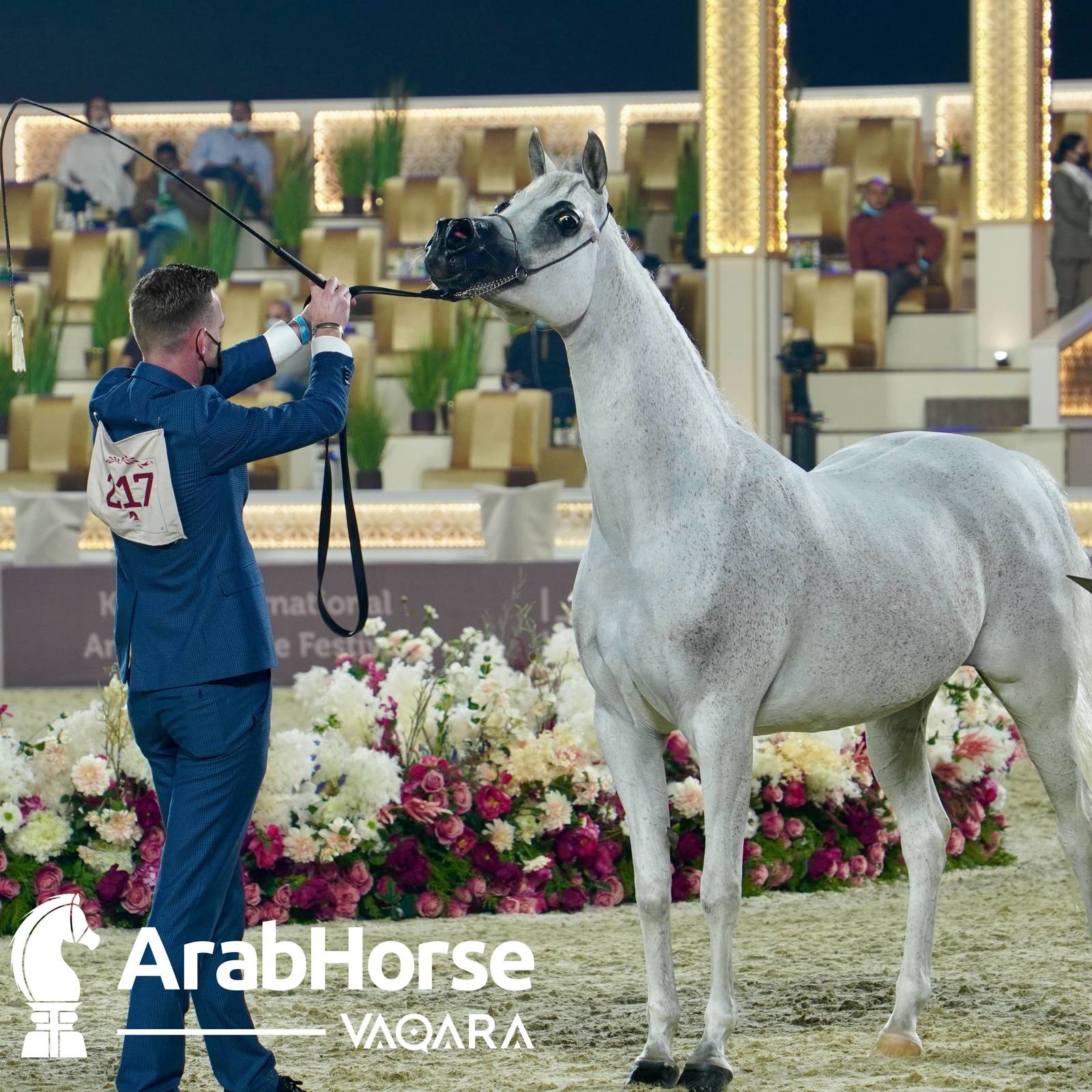 Qualifying Rounds of Katara International Arabian Horse Festival Conclude Successfully