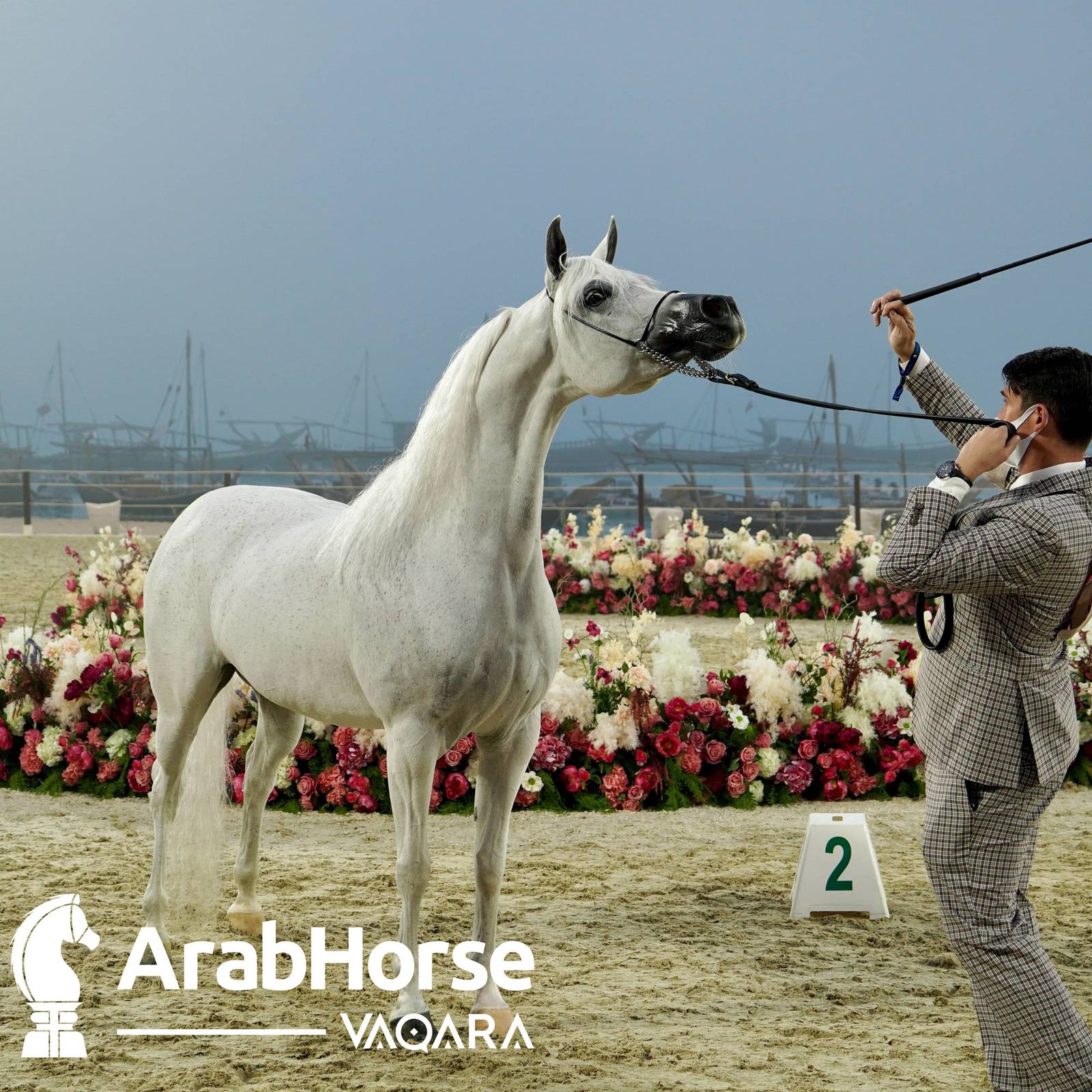 Qualifying Rounds of Katara International Arabian Horse Festival Conclude Successfully
