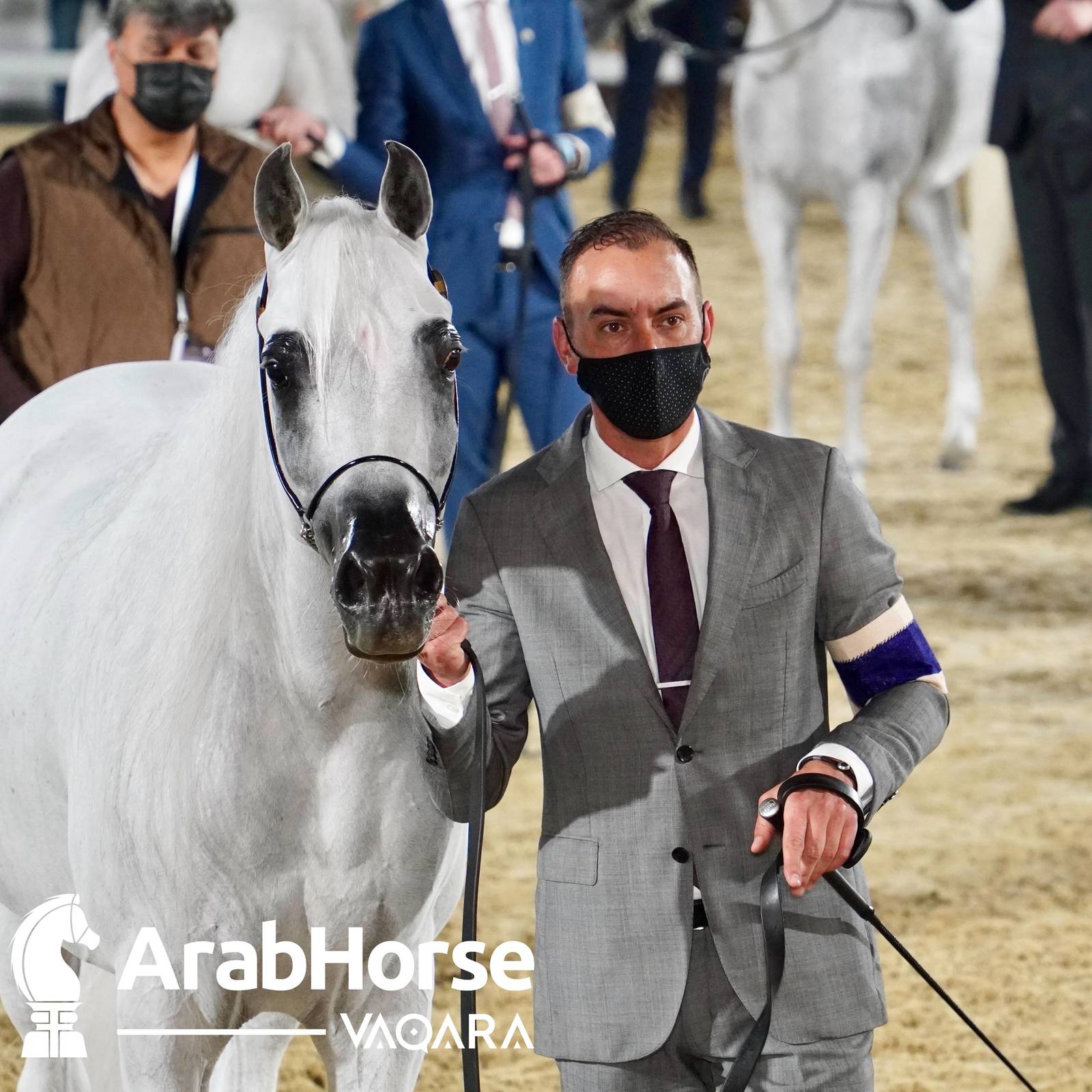 Qualifying Rounds of Katara International Arabian Horse Festival Conclude Successfully