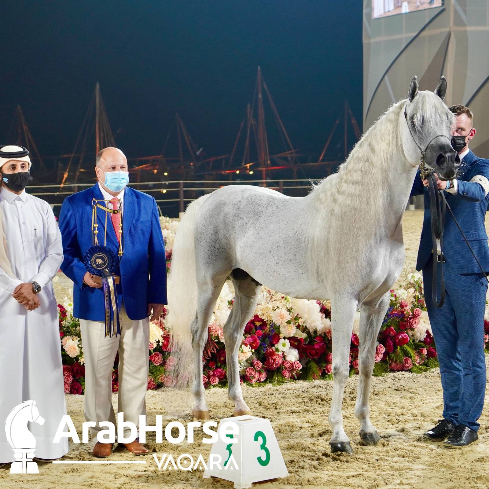 Qualifying Rounds of Katara International Arabian Horse Festival Conclude Successfully
