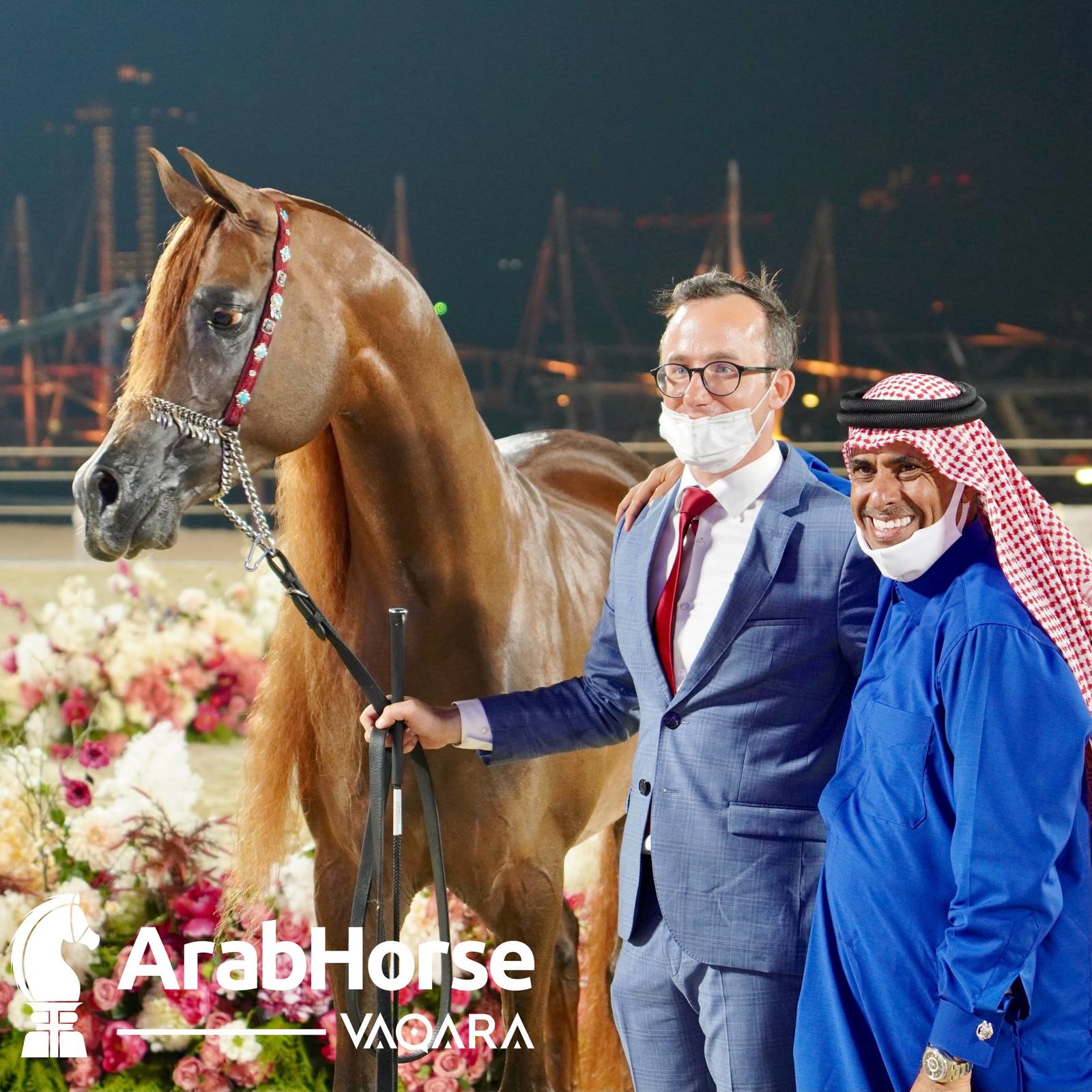 Qualifying Rounds of Katara International Arabian Horse Festival Conclude Successfully