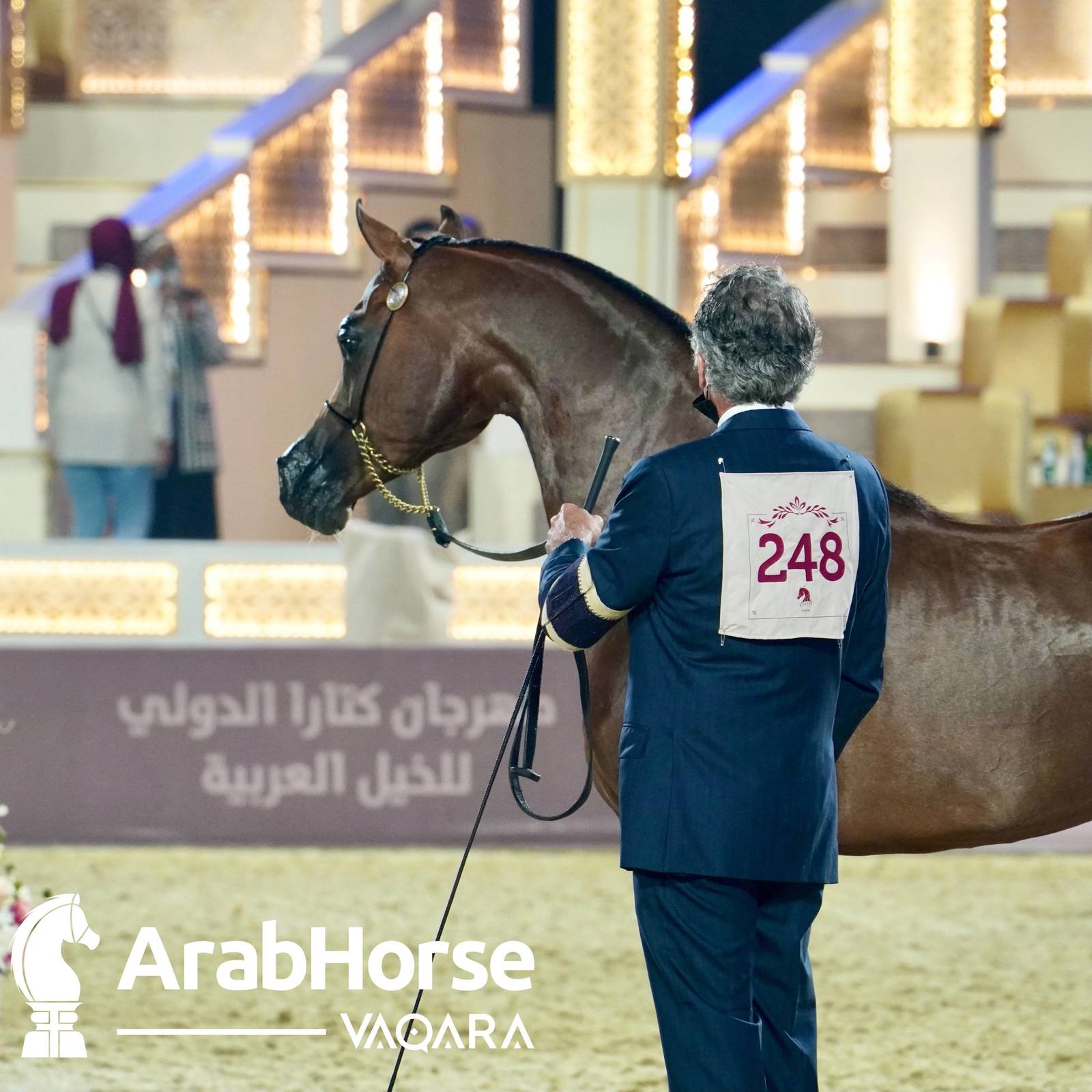 Qualifying Rounds of Katara International Arabian Horse Festival Conclude Successfully