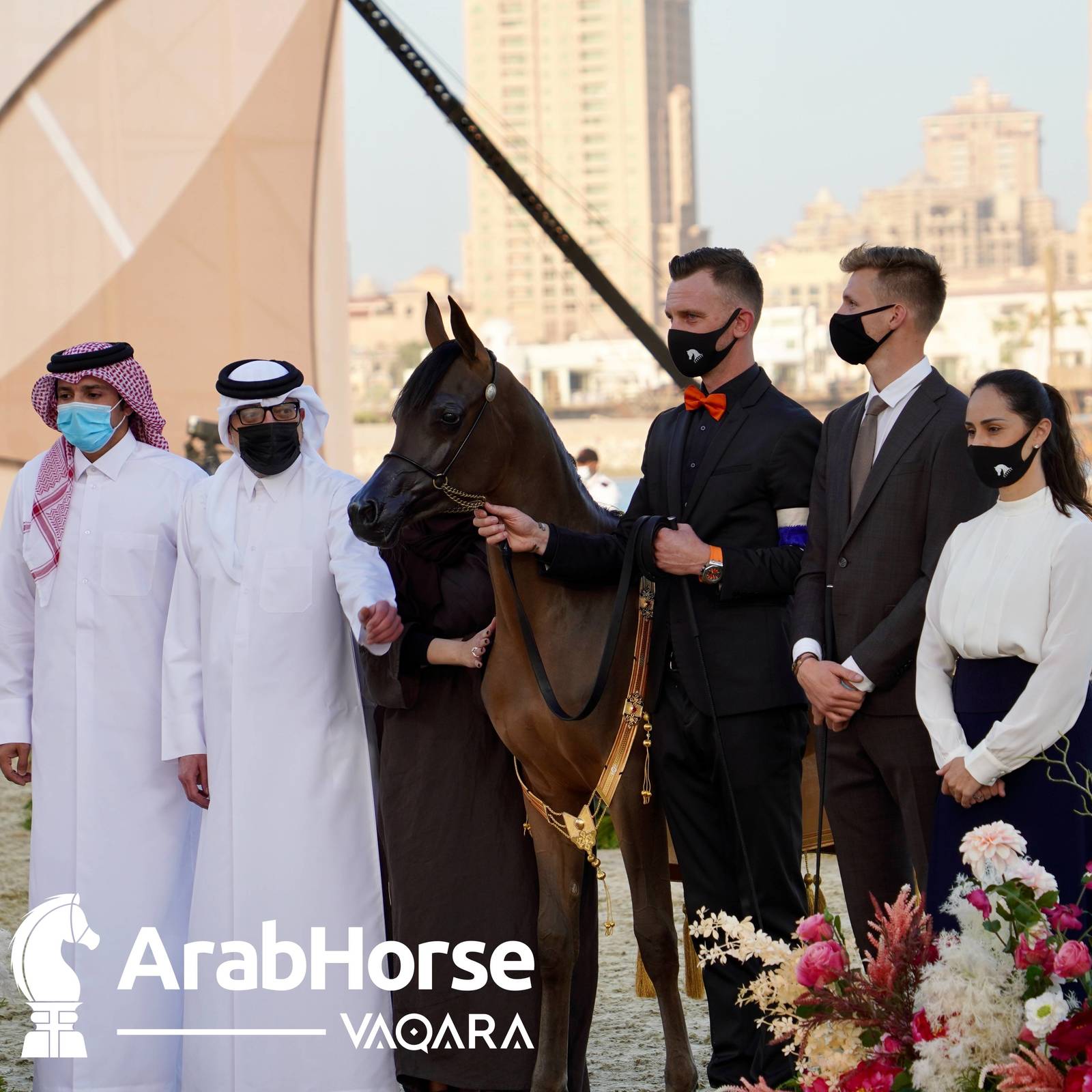 Finest Arabians compete in Championship round of the Prestigious Title Show at Katara