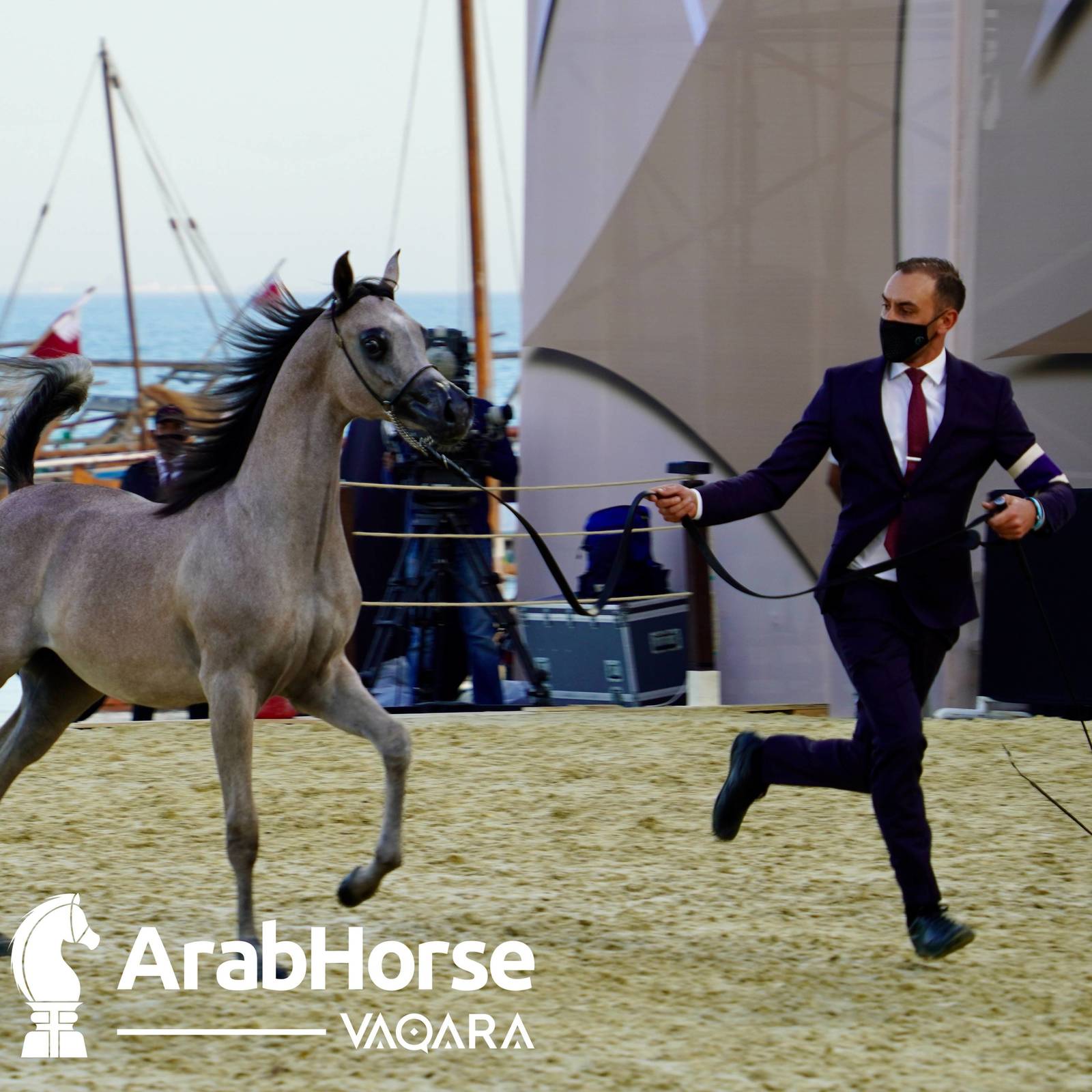 Finest Arabians compete in Championship round of the Prestigious Title Show at Katara