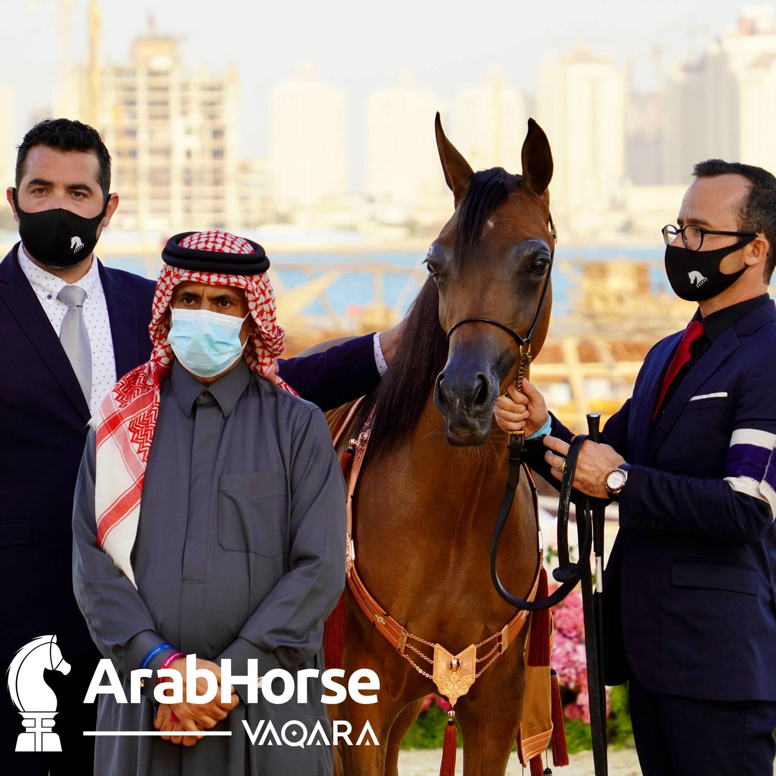 Finest Arabians compete in Championship round of the Prestigious Title Show at Katara