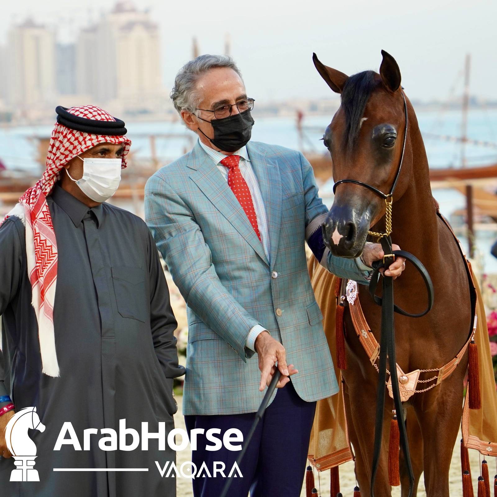 Finest Arabians compete in Championship round of the Prestigious Title Show at Katara
