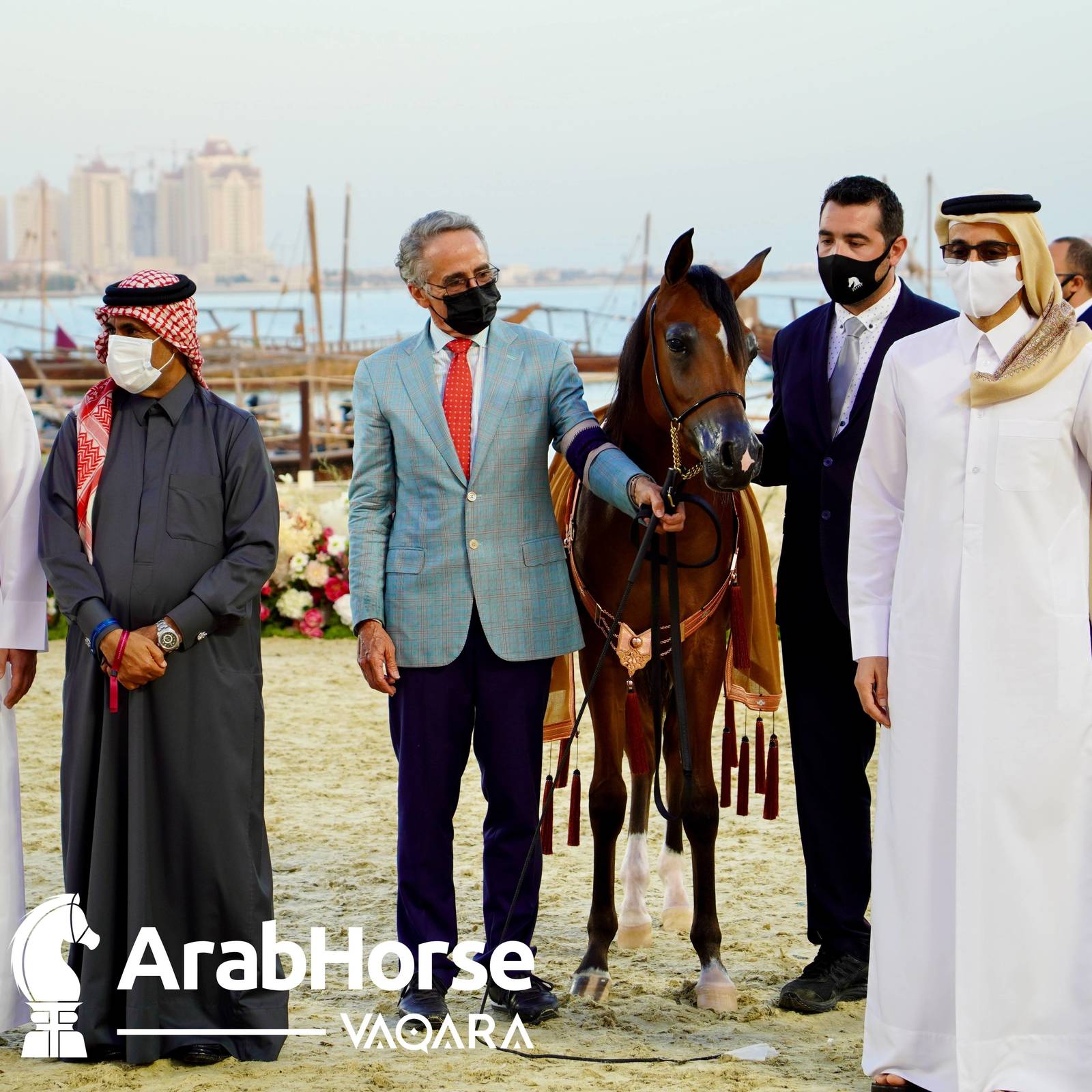 Finest Arabians compete in Championship round of the Prestigious Title Show at Katara