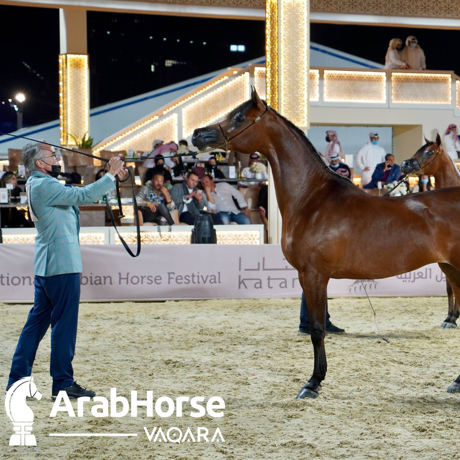 Finest Arabians compete in Championship round of the Prestigious Title Show at Katara