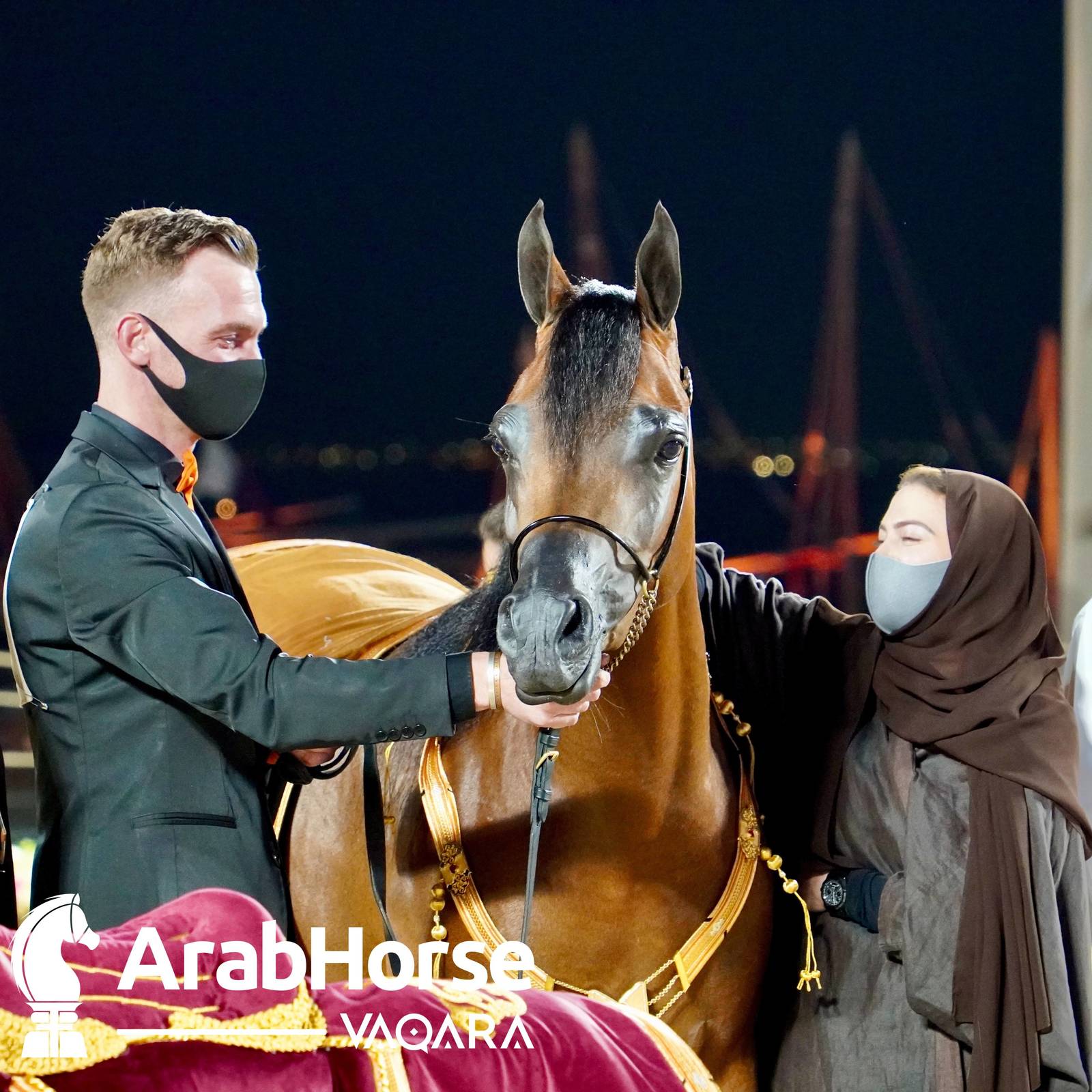 Finest Arabians compete in Championship round of the Prestigious Title Show at Katara