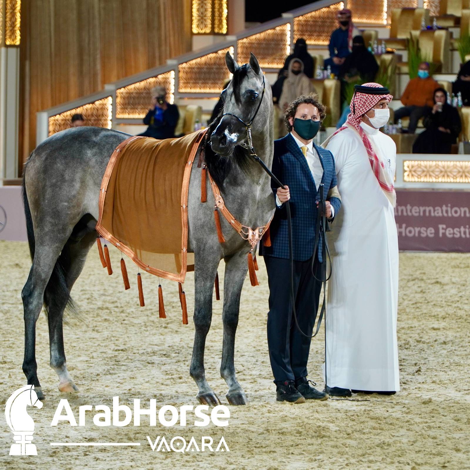 Finest Arabians compete in Championship round of the Prestigious Title Show at Katara