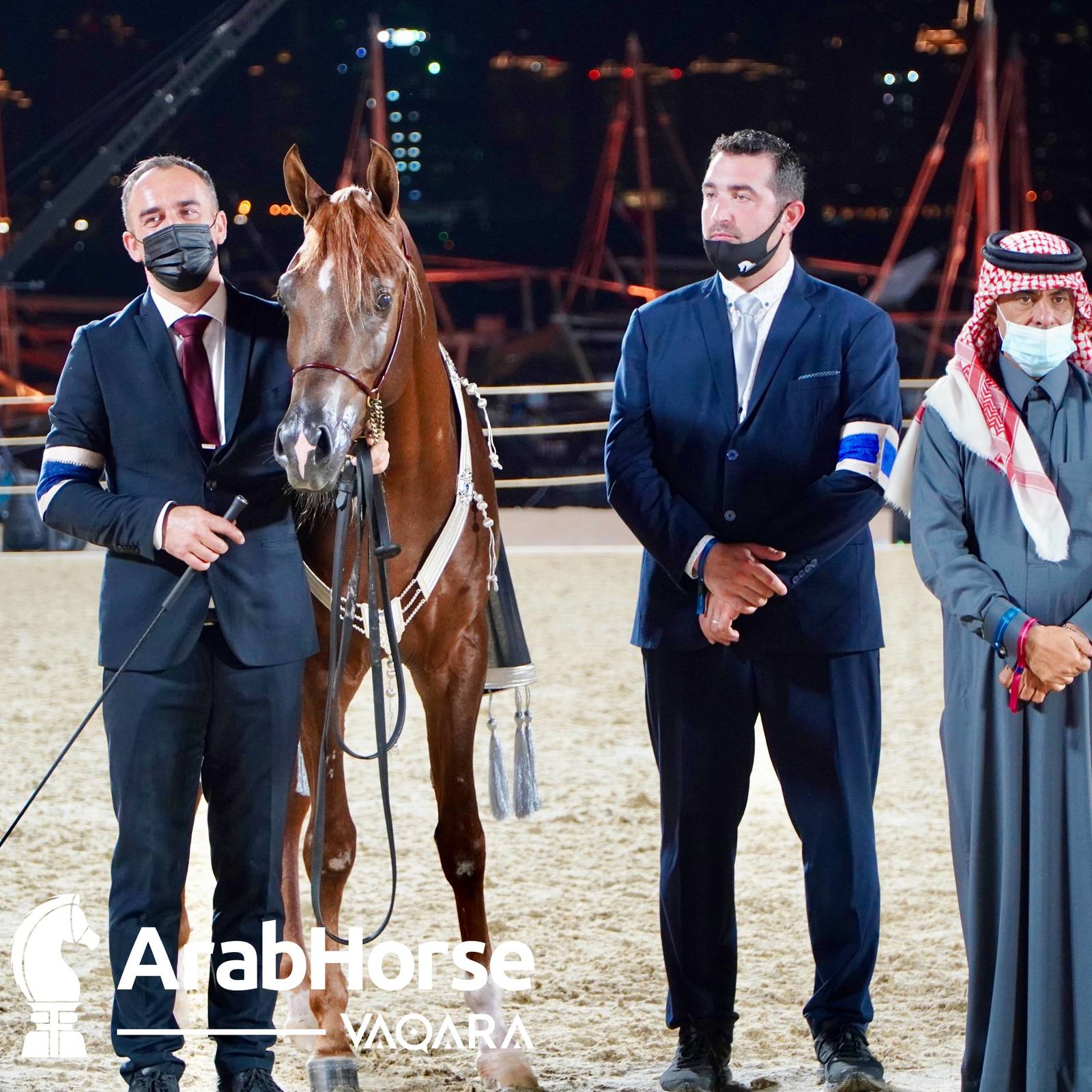 Finest Arabians compete in Championship round of the Prestigious Title Show at Katara