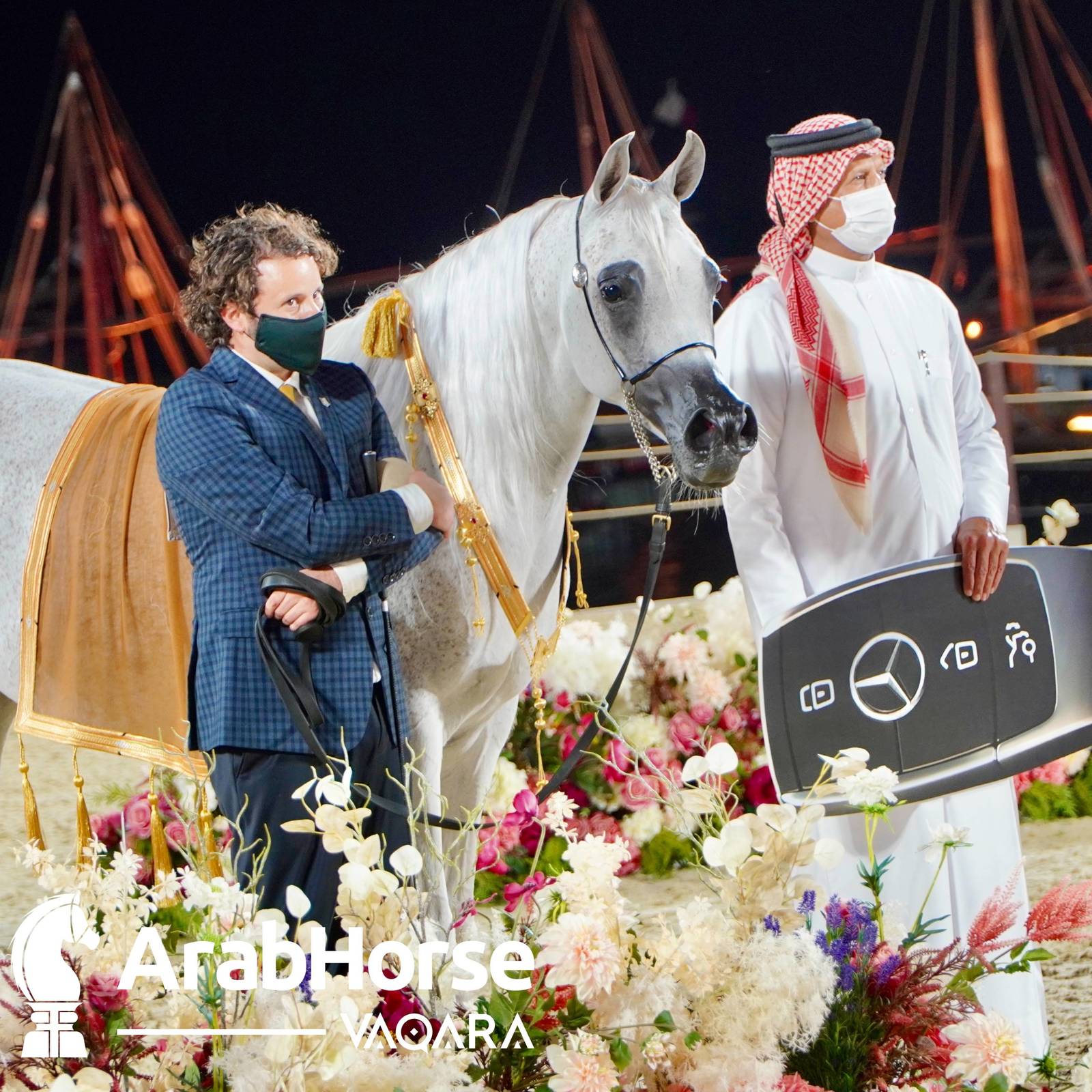 Finest Arabians compete in Championship round of the Prestigious Title Show at Katara