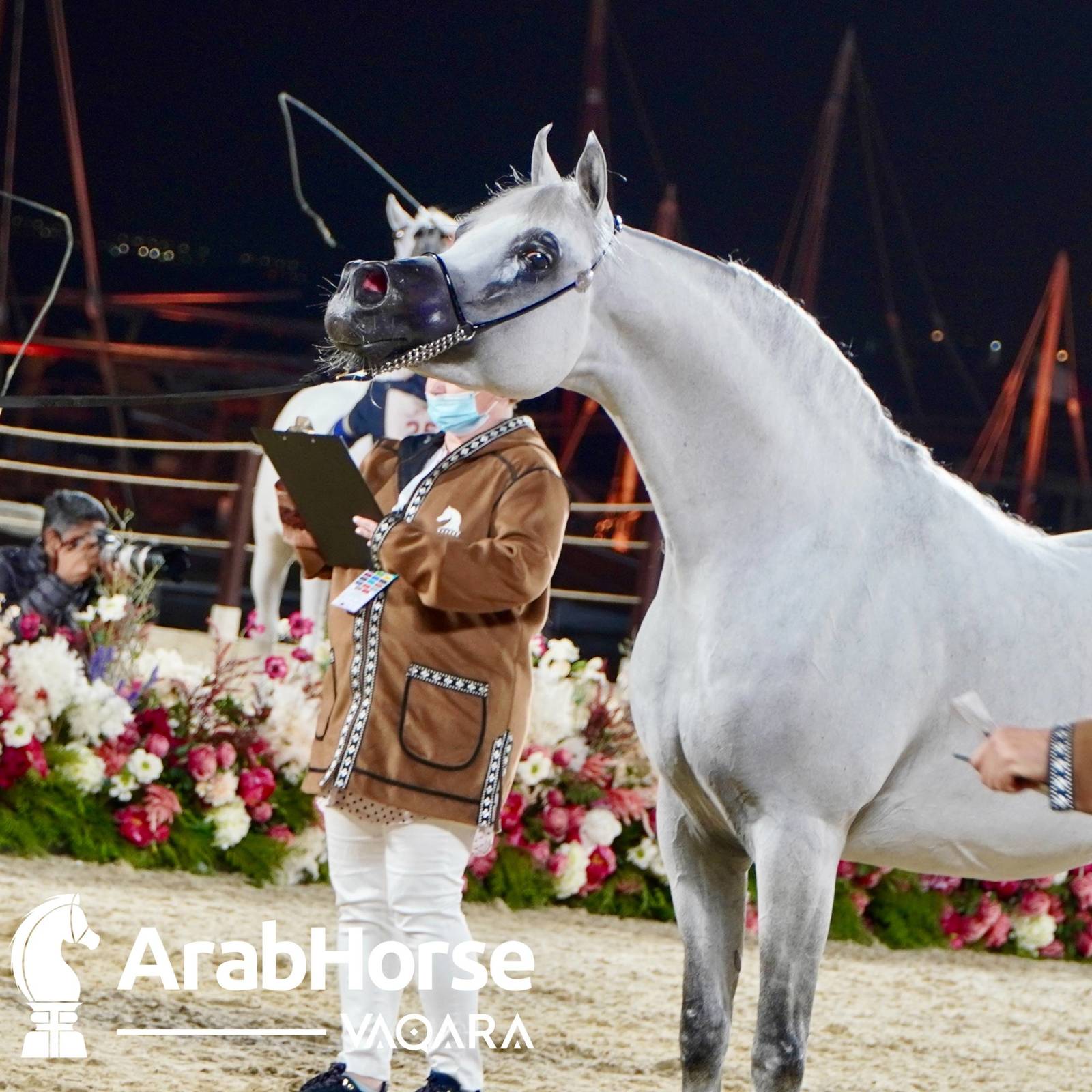Finest Arabians compete in Championship round of the Prestigious Title Show at Katara