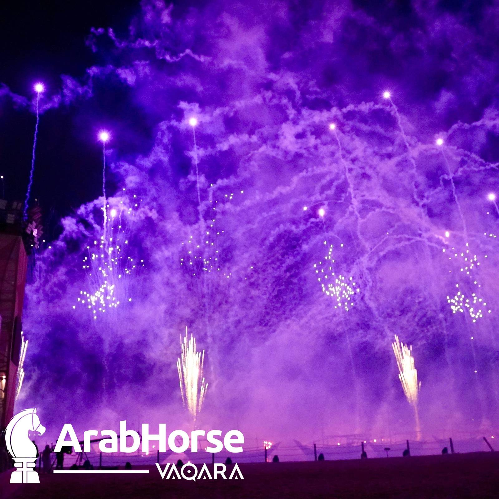 Finest Arabians compete in Championship round of the Prestigious Title Show at Katara