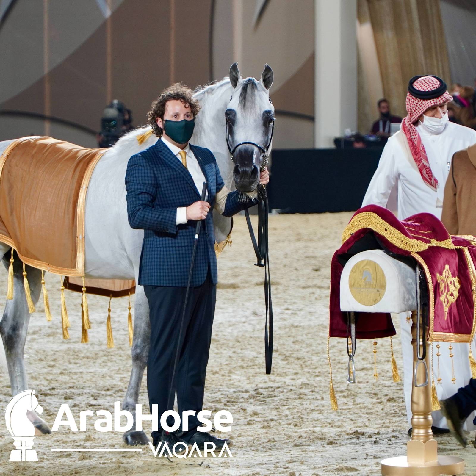 Finest Arabians compete in Championship round of the Prestigious Title Show at Katara