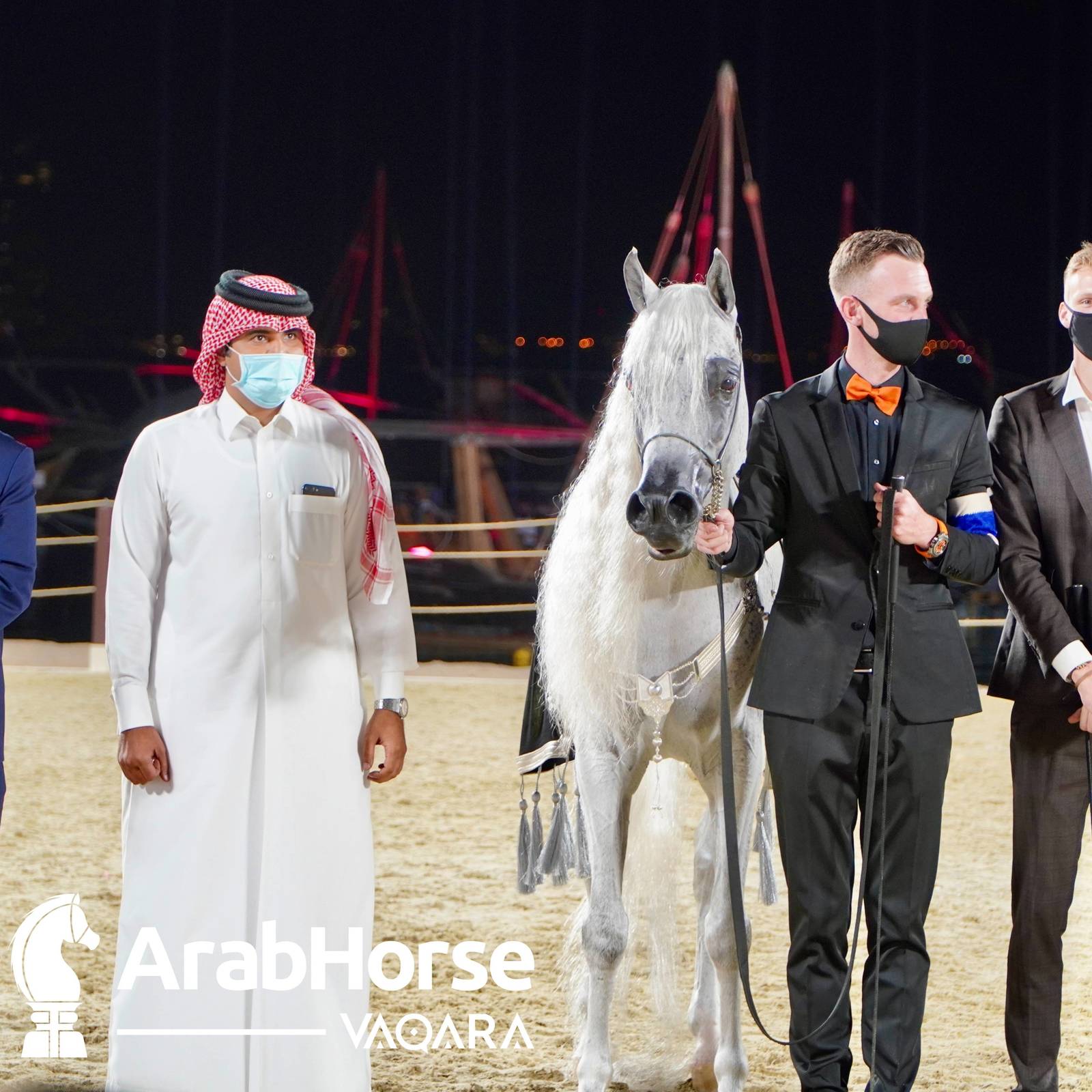Finest Arabians compete in Championship round of the Prestigious Title Show at Katara