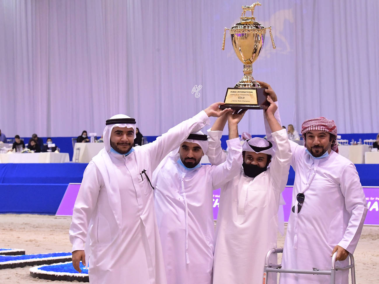 Senior Stallion Gold Champion:   E.S. Harir (AJ Dinar X TF Magnums Magic) 