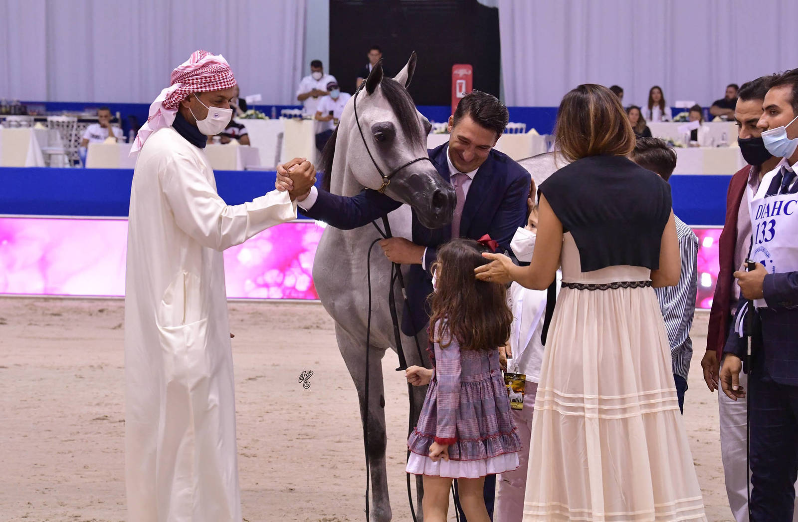Senior Mare Gold Champion: D Shihanah (FA El Rasheem X D Shahla) 