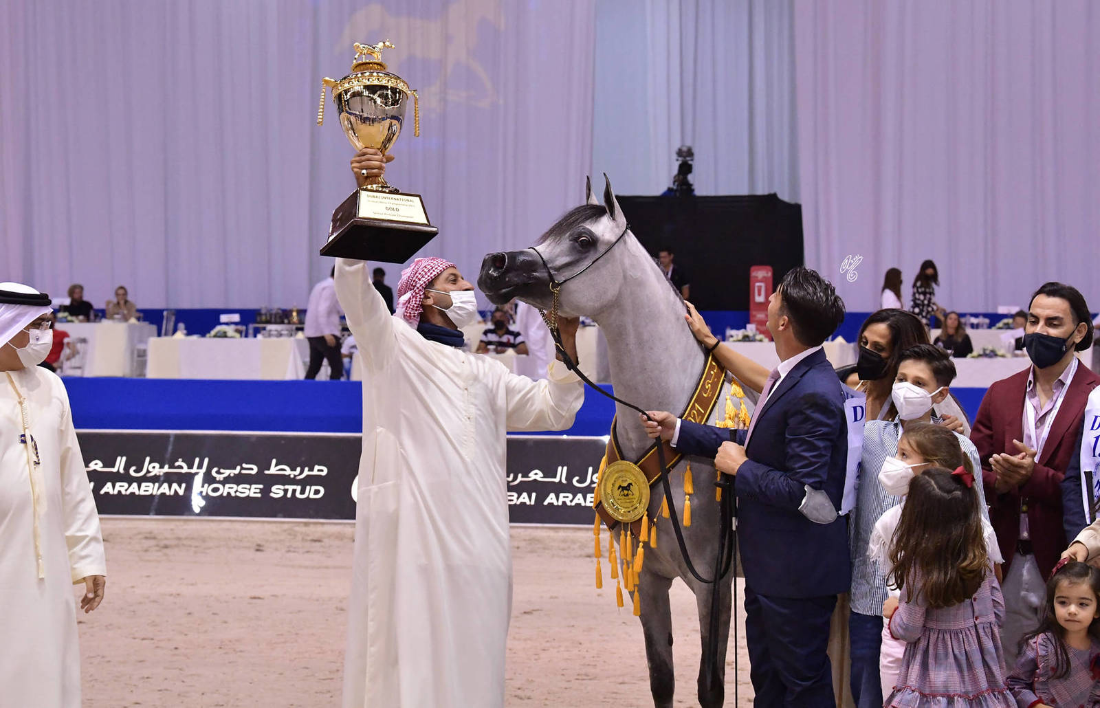 Senior Mare Gold Champion: D Shihanah (FA El Rasheem X D Shahla) 