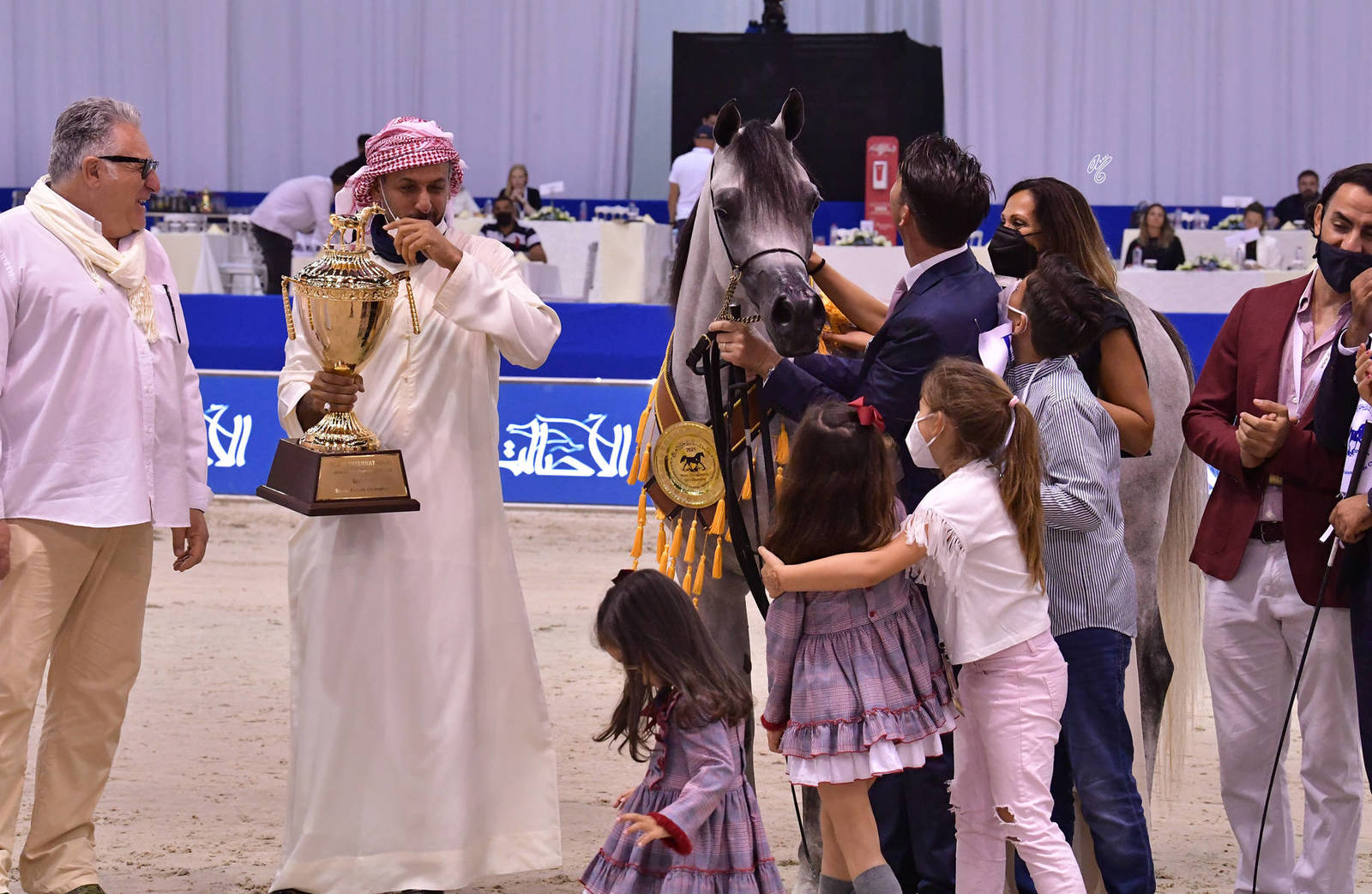 Senior Mare Gold Champion: D Shihanah (FA El Rasheem X D Shahla) 