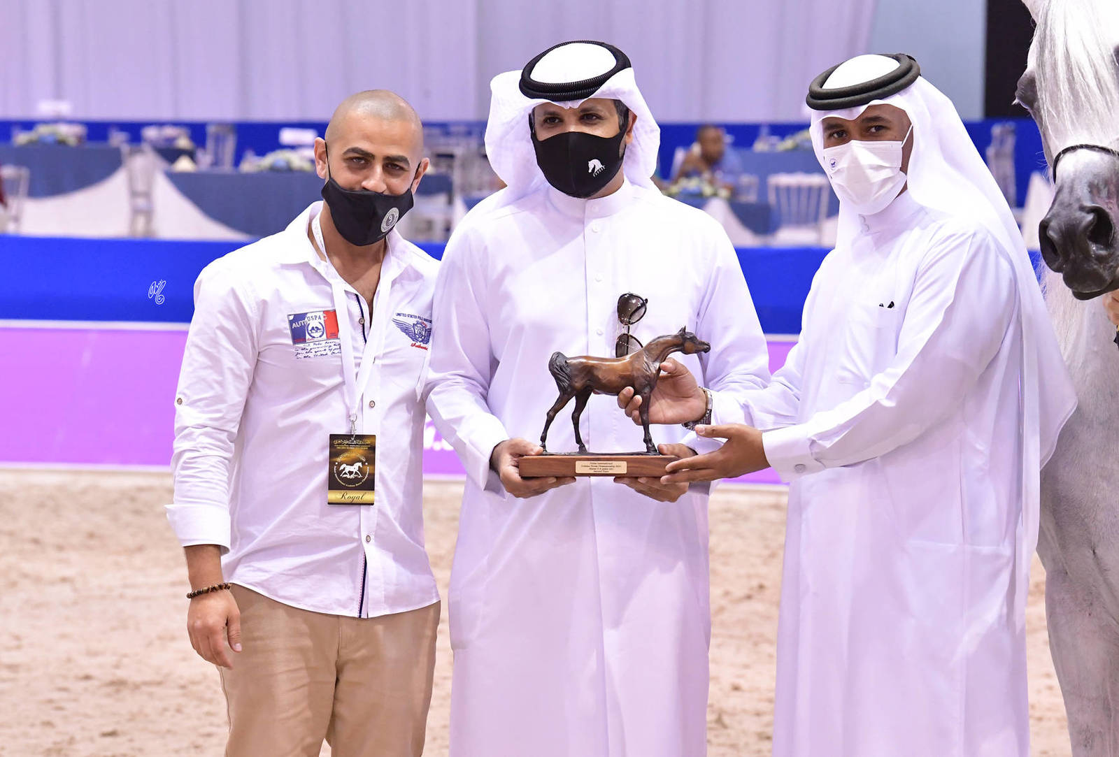 Senior Mare Silver Champion: Bint Hazy Al Khalediah (El Palacio VO X Hazy Al Khalediah) 