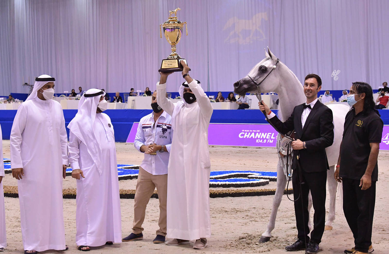 Senior Mare Silver Champion: Bint Hazy Al Khalediah (El Palacio VO X Hazy Al Khalediah) 