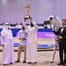 Senior Mare Silver Champion: Bint Hazy Al Khalediah (El Palacio VO X Hazy Al Khalediah) 