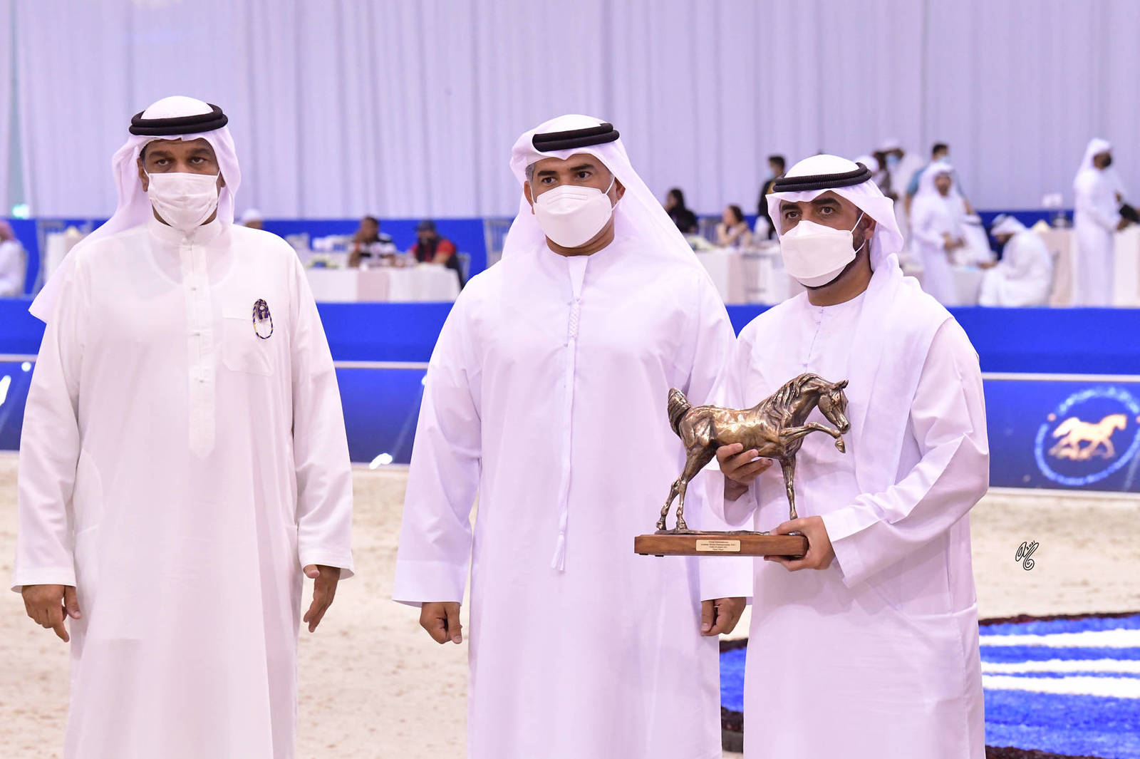 Junior Colt Silver Champion: Arjuwan Al Bidayer (AJ Marzan X Allezandra Albidayer) 