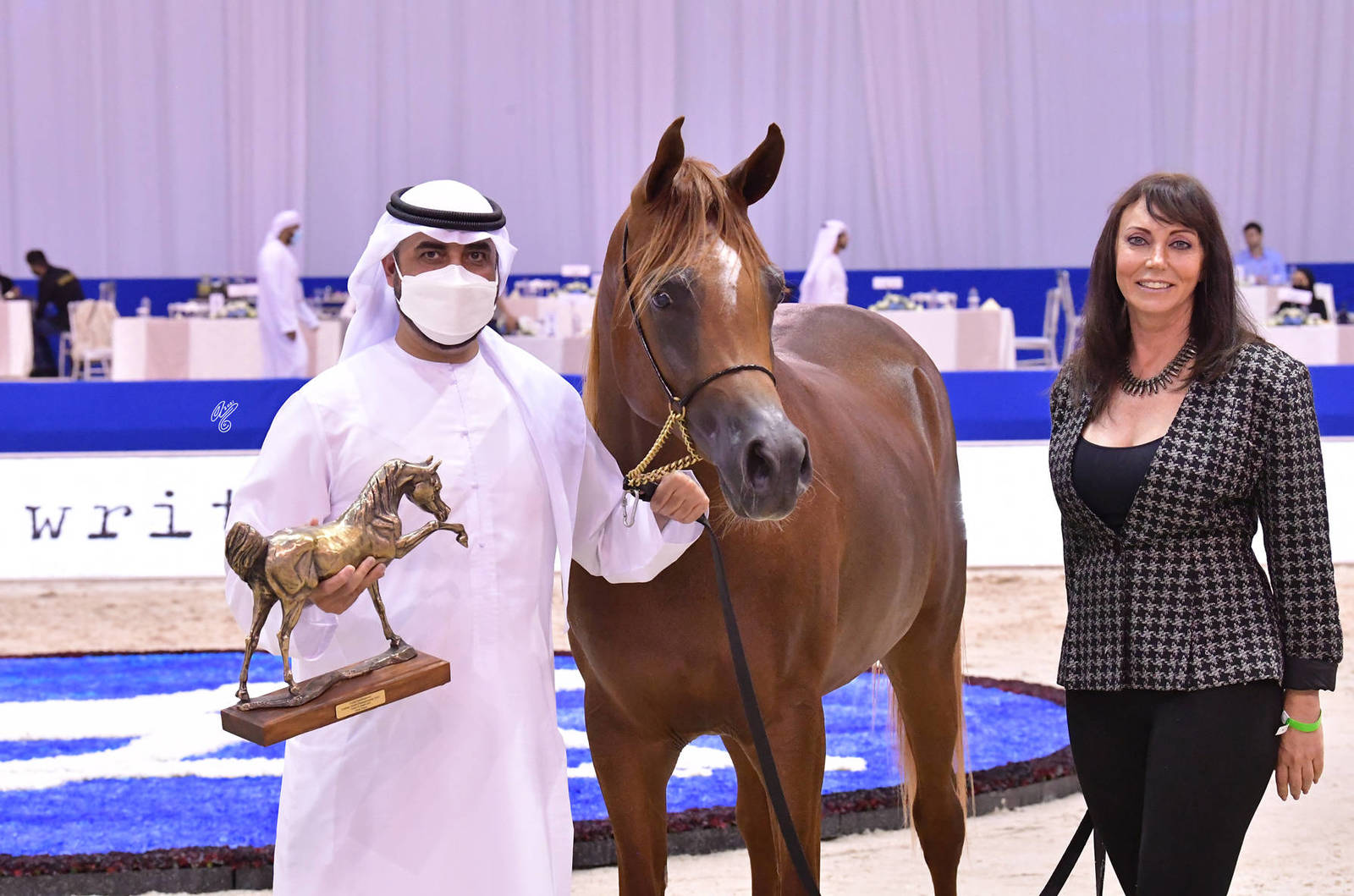Junior Colt Silver Champion: Arjuwan Al Bidayer (AJ Marzan X Allezandra Albidayer) 