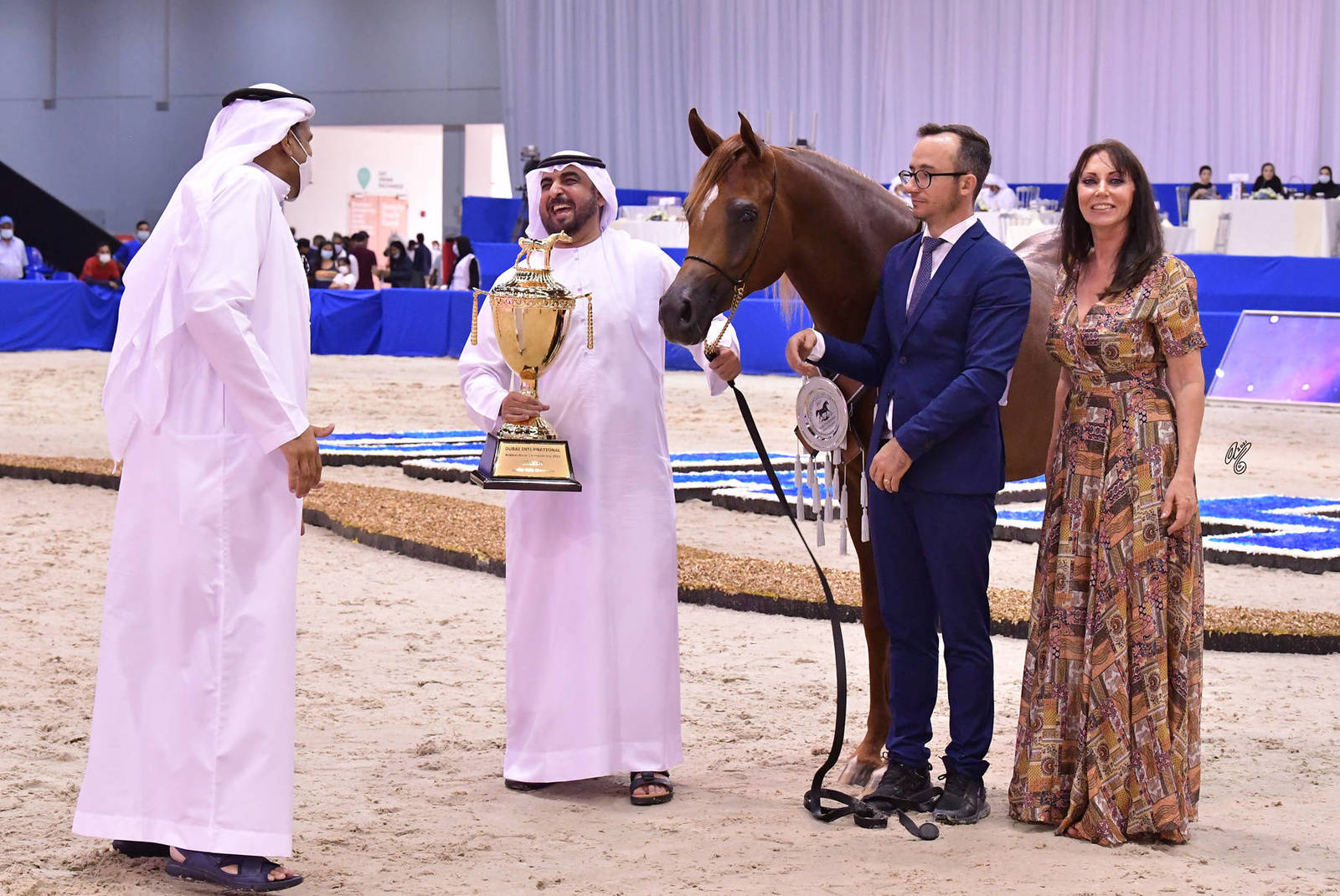 Junior Colt Silver Champion: Arjuwan Al Bidayer (AJ Marzan X Allezandra Albidayer) 