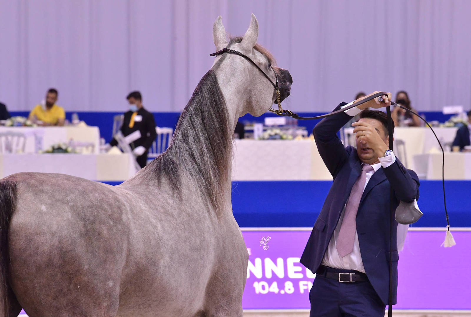 Junior Filly Silver Champion: D Judi (AJ Azzam X Elle Flamenca) 