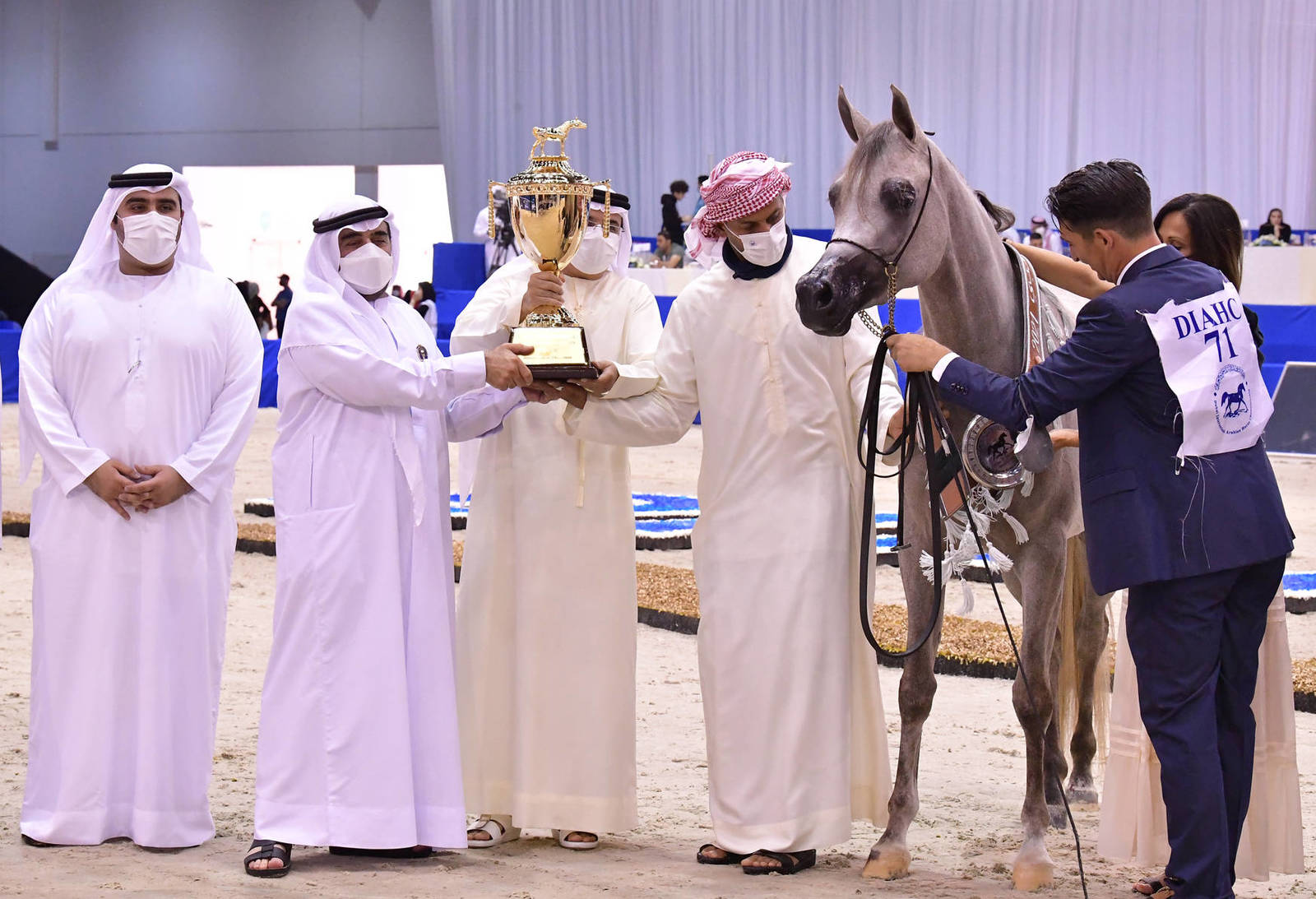 Junior Filly Silver Champion: D Judi (AJ Azzam X Elle Flamenca) 