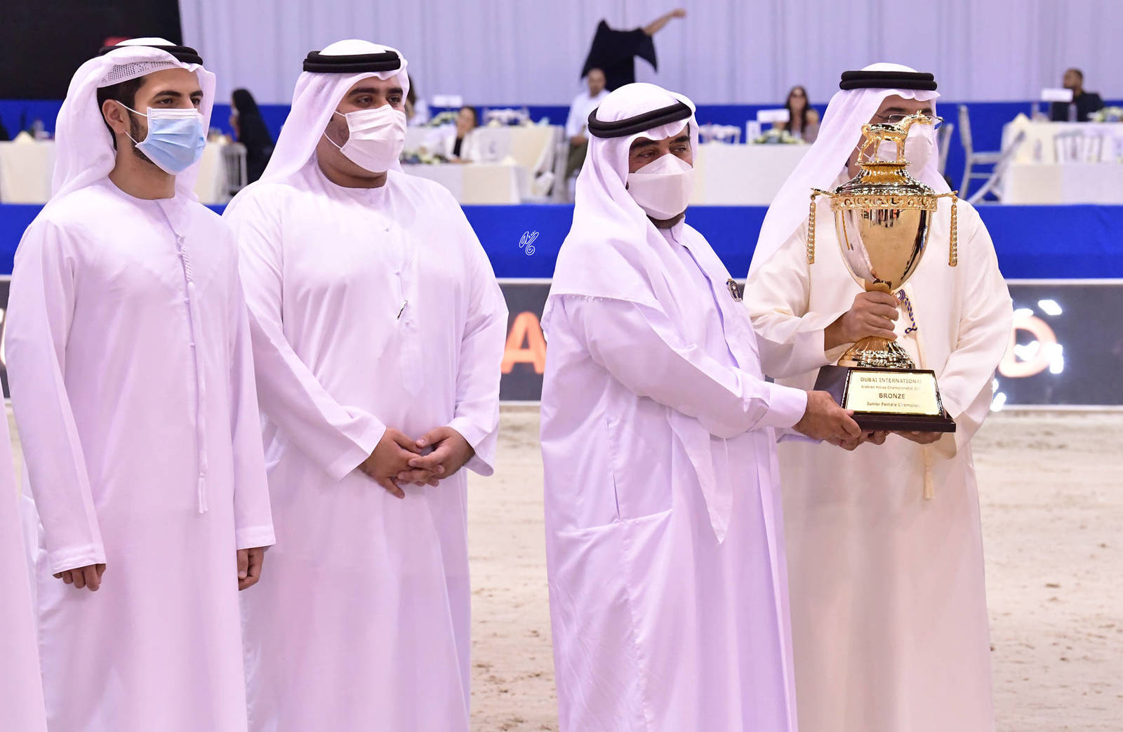 Junior Filly Bronze Champion: D Fannanah (Excalilbur EA X Elle Flamenca) 