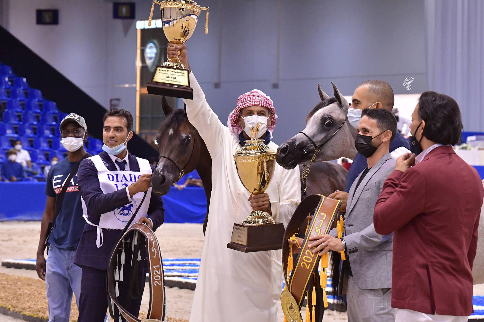 Yearling Colt Gold Champion: D Sharar (D Seraj X FT Shaella)