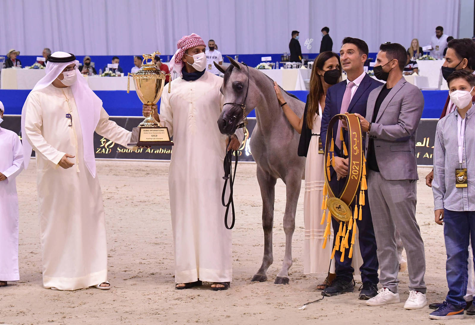 Yearling Colt Gold Champion: D Sharar (D Seraj X FT Shaella)