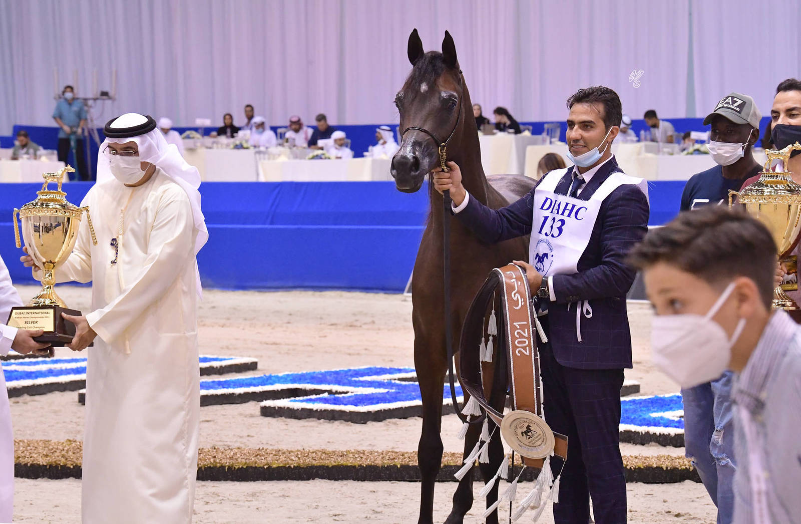 Yearling Colt Silver Champion: D Rasael (FA El Rasheem X Ladi Veronika) 