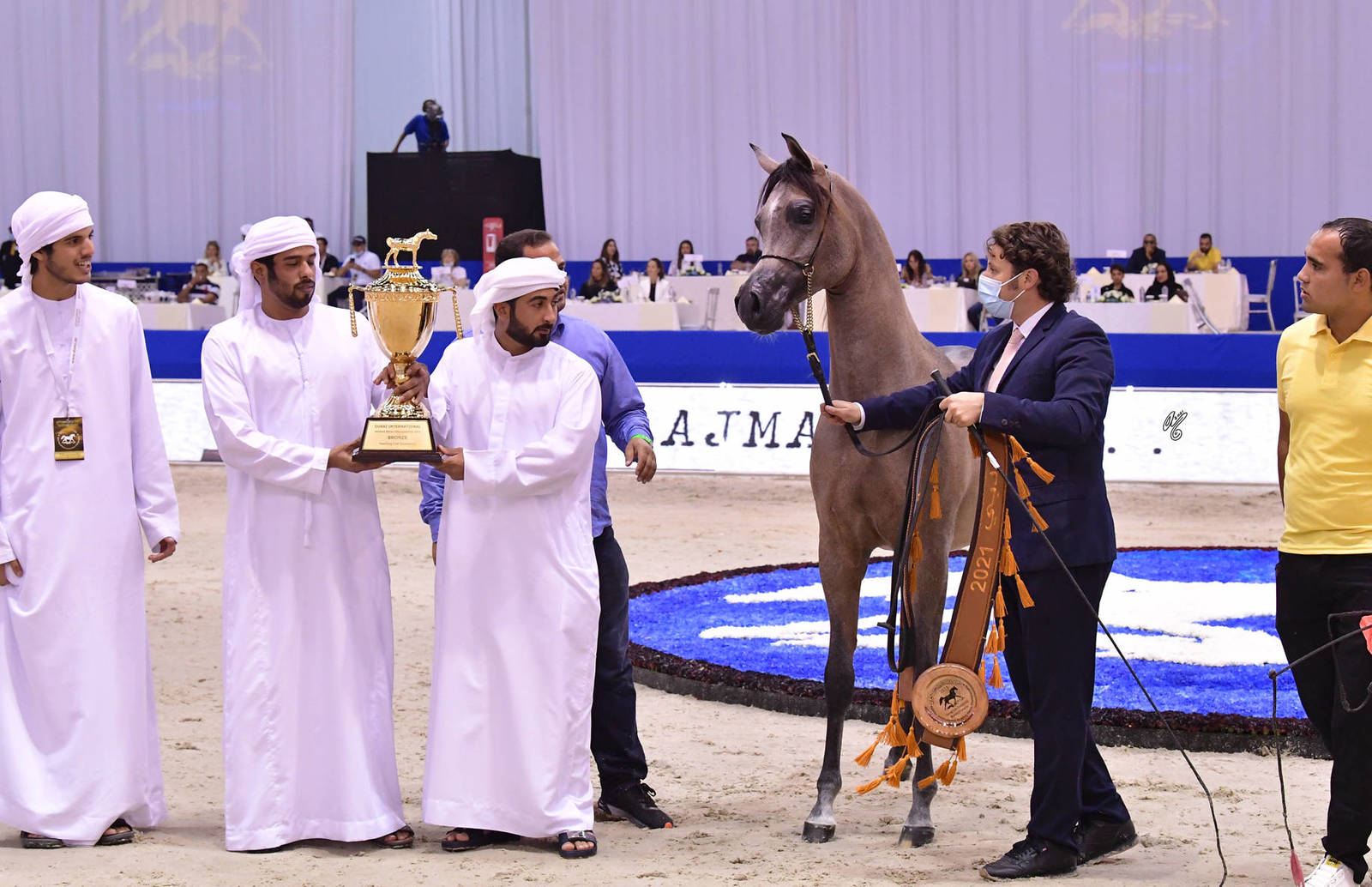 Yearling Colt Bronze Champion: A.L.R. Burkan (SQ Burkan X Yaqoubiyah Al Zobair) 