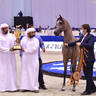 Yearling Colt Bronze Champion: A.L.R. Burkan (SQ Burkan X Yaqoubiyah Al Zobair) 