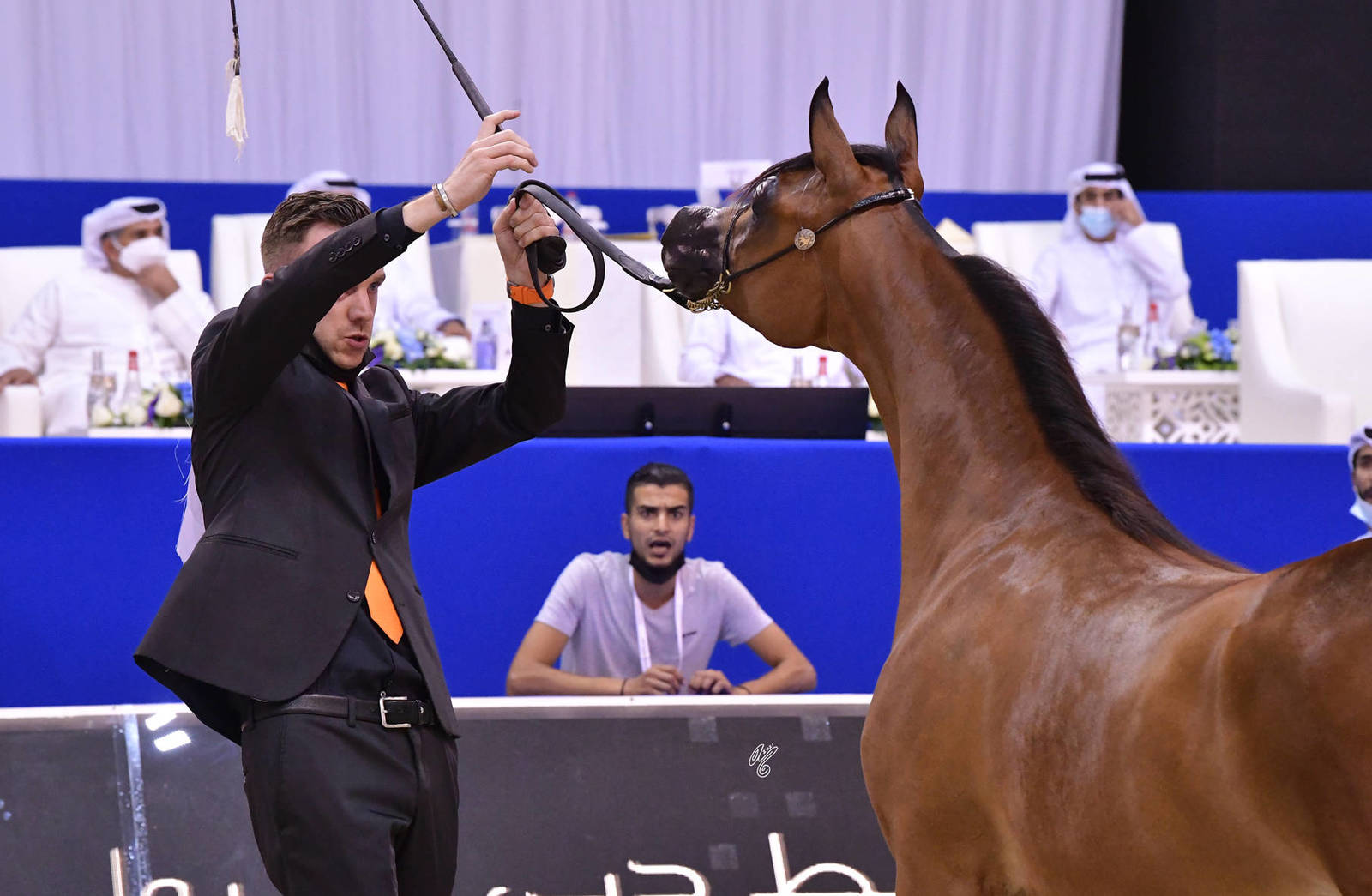 Yearling Filly Gold Champion: R.A.K. Onood (FA El Rasheem X RAS Al Khaimah) 