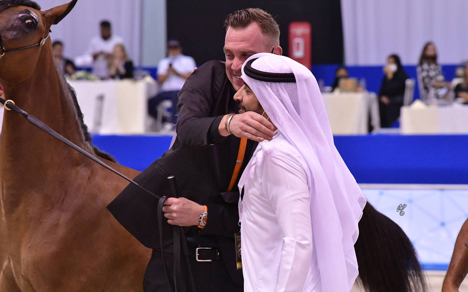 Yearling Filly Gold Champion: R.A.K. Onood (FA El Rasheem X RAS Al Khaimah) 