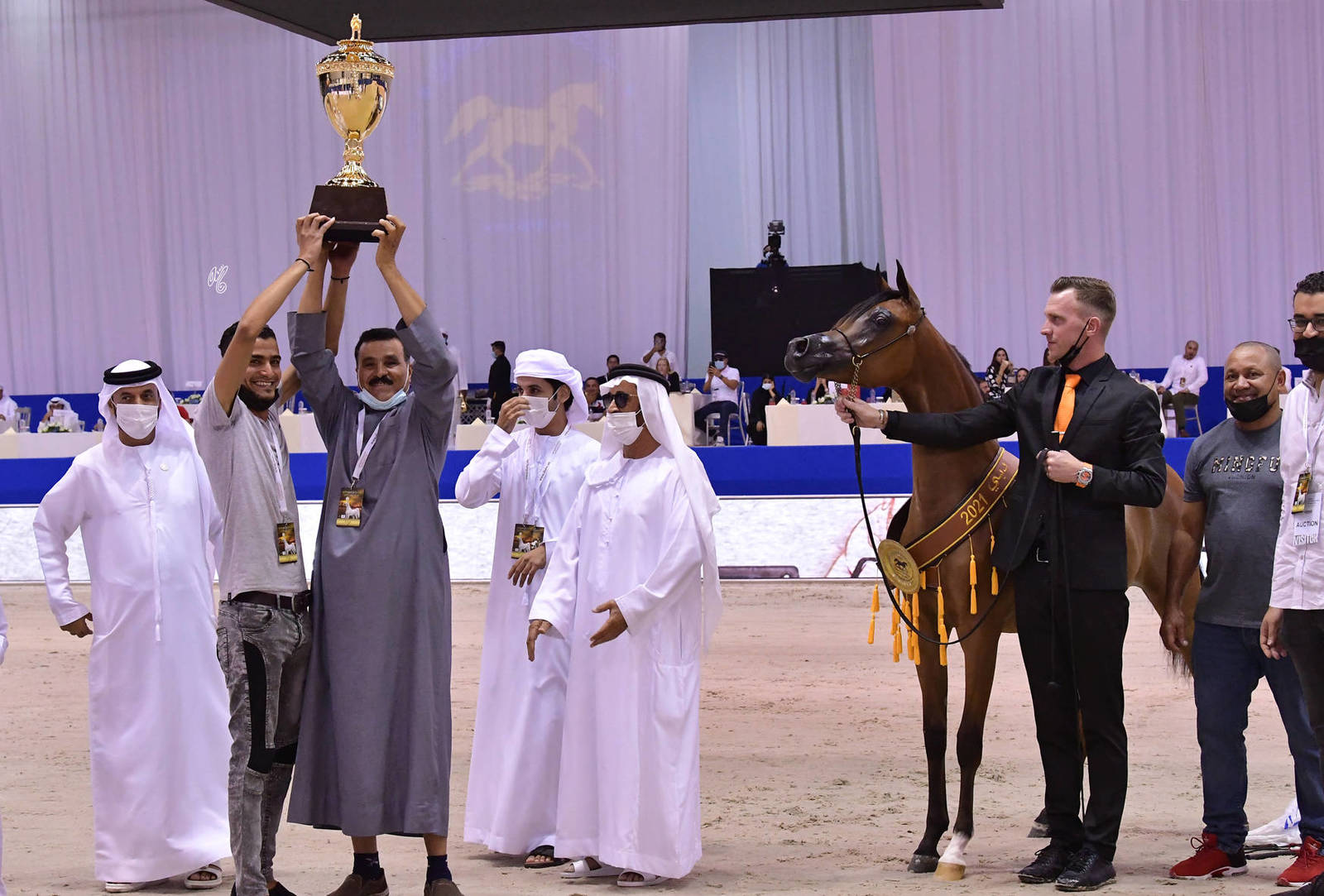 Yearling Filly Gold Champion: R.A.K. Onood (FA El Rasheem X RAS Al Khaimah) 