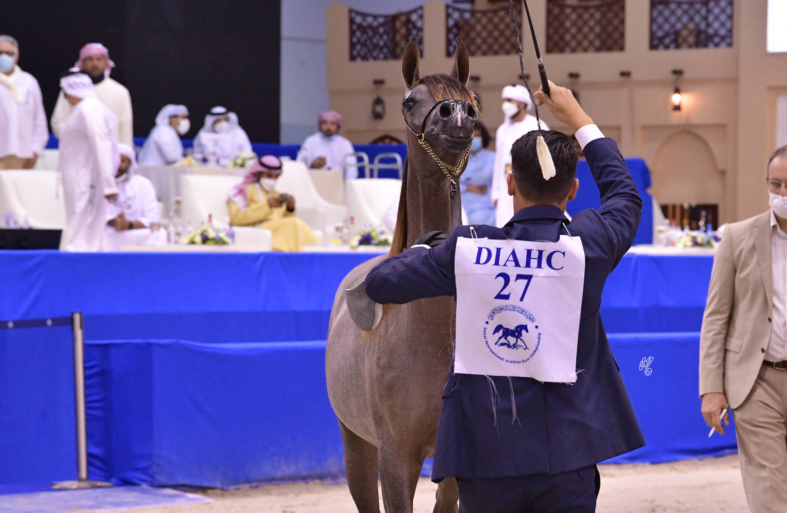 Yearling Filly Silver Champion: D Beisan (D Seraj X RAH Rosalia) 