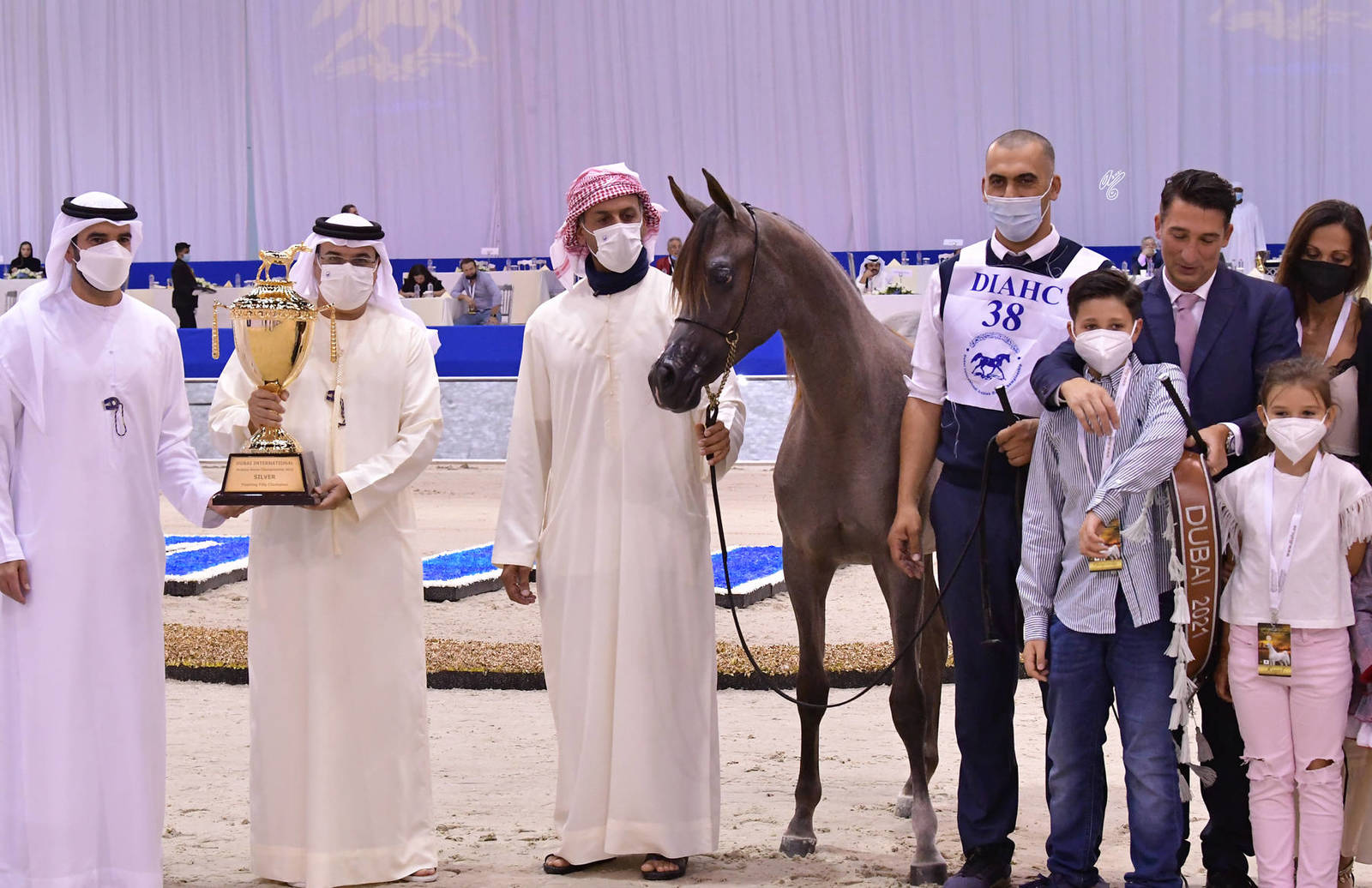 Yearling Filly Silver Champion: D Beisan (D Seraj X RAH Rosalia) 